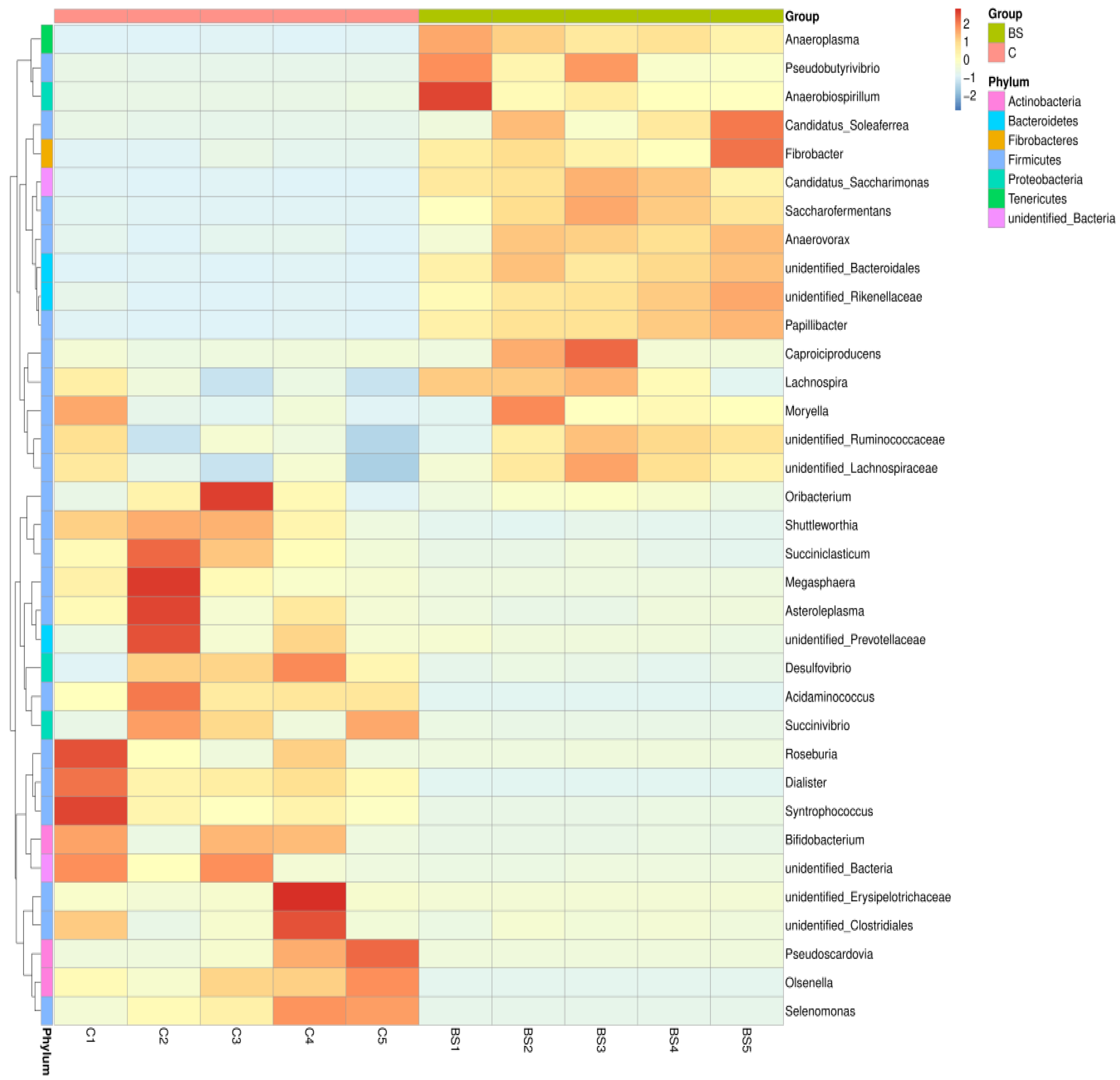 Fermentation 09 00032 g005