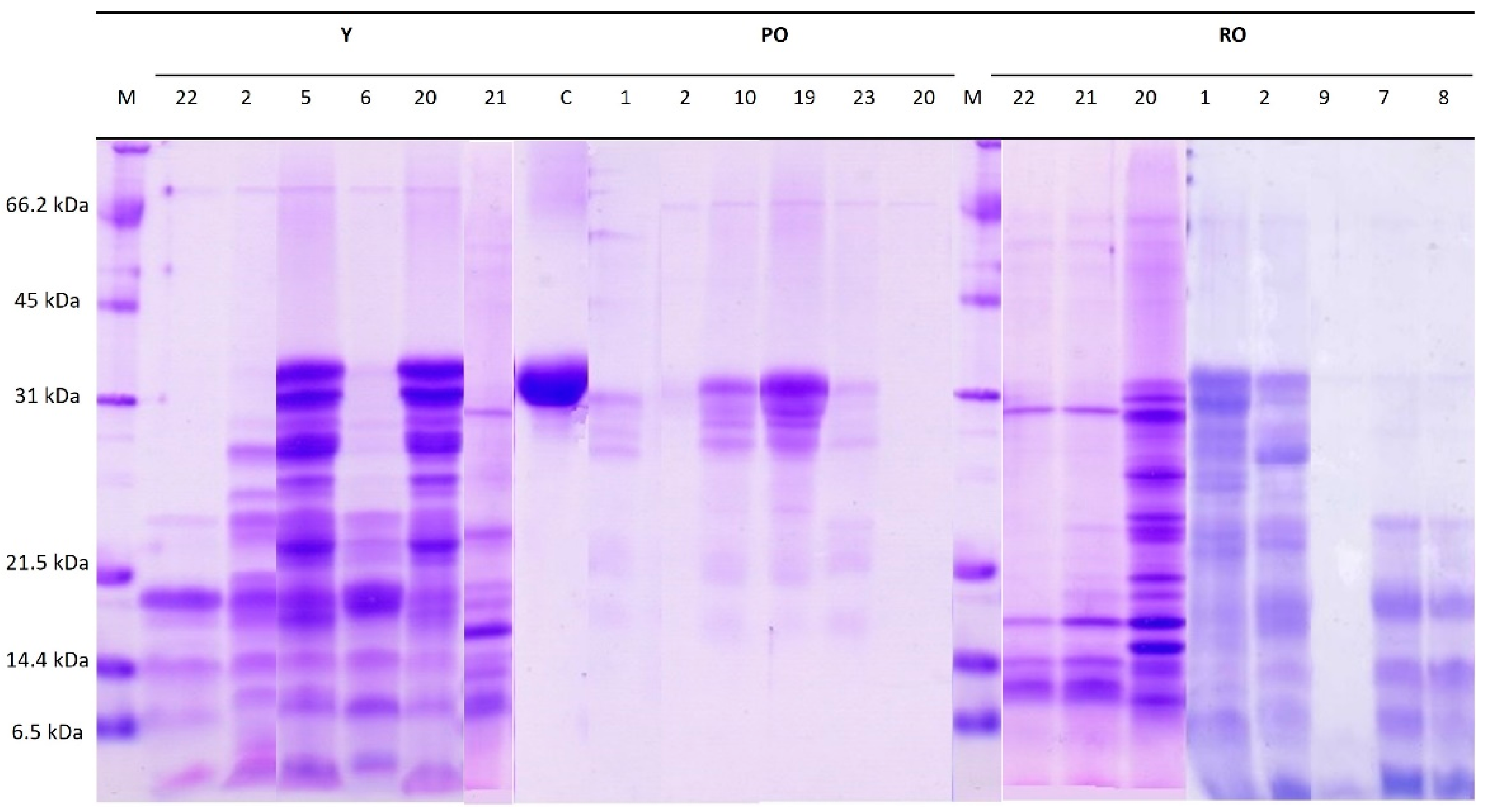 Fermentation 09 00051 g001