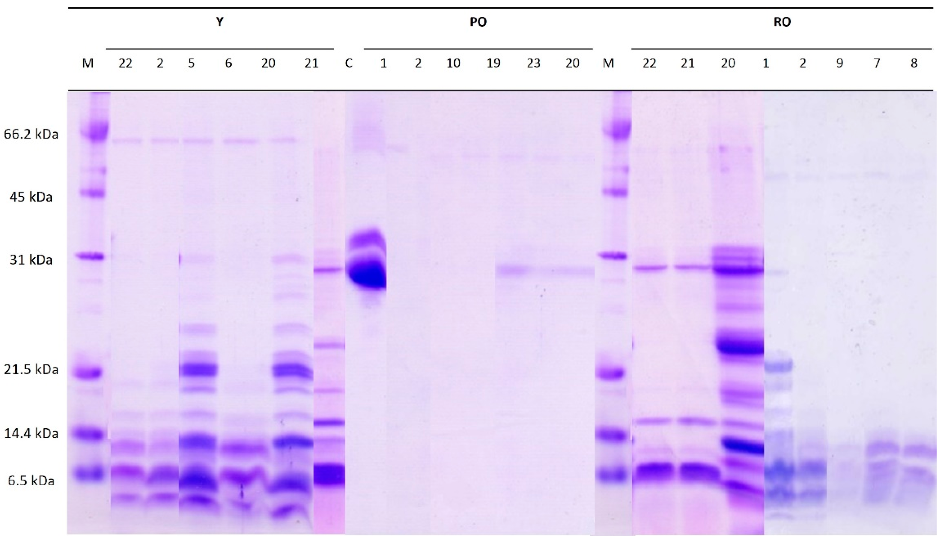 Fermentation 09 00051 g002