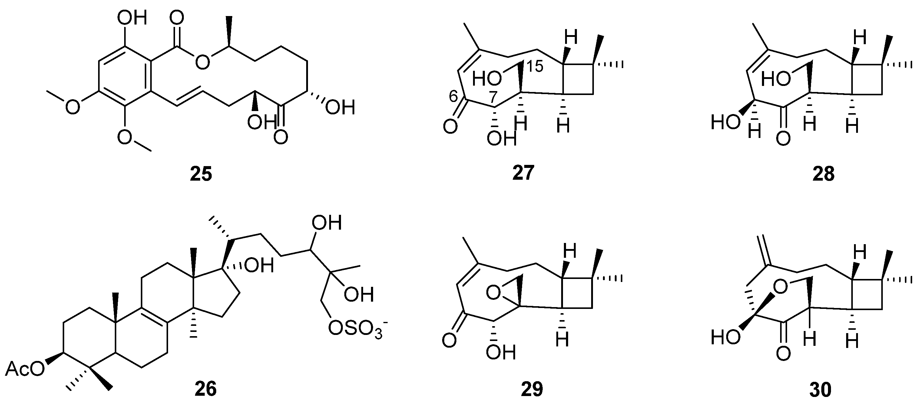 Fermentation 09 00076 g008