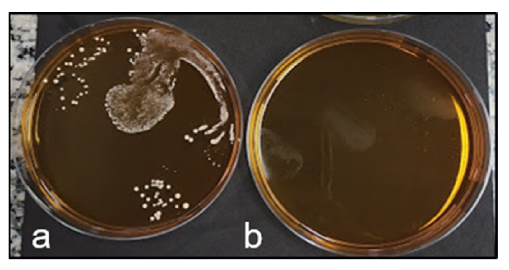 Fermentation 09 00089 g004