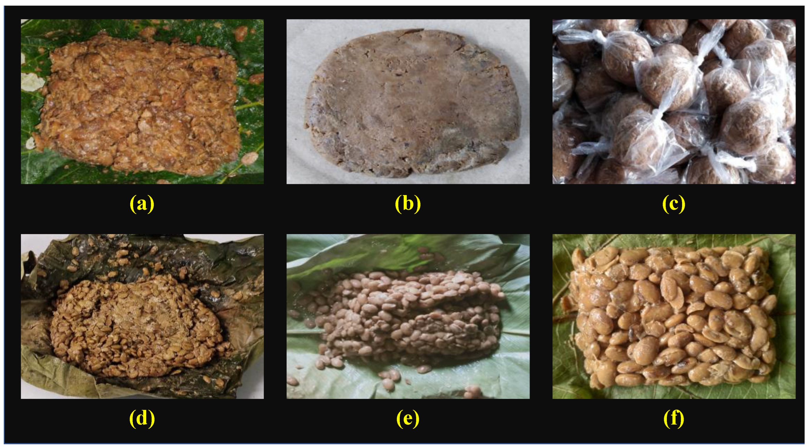 Fermentation 09 00091 g001
