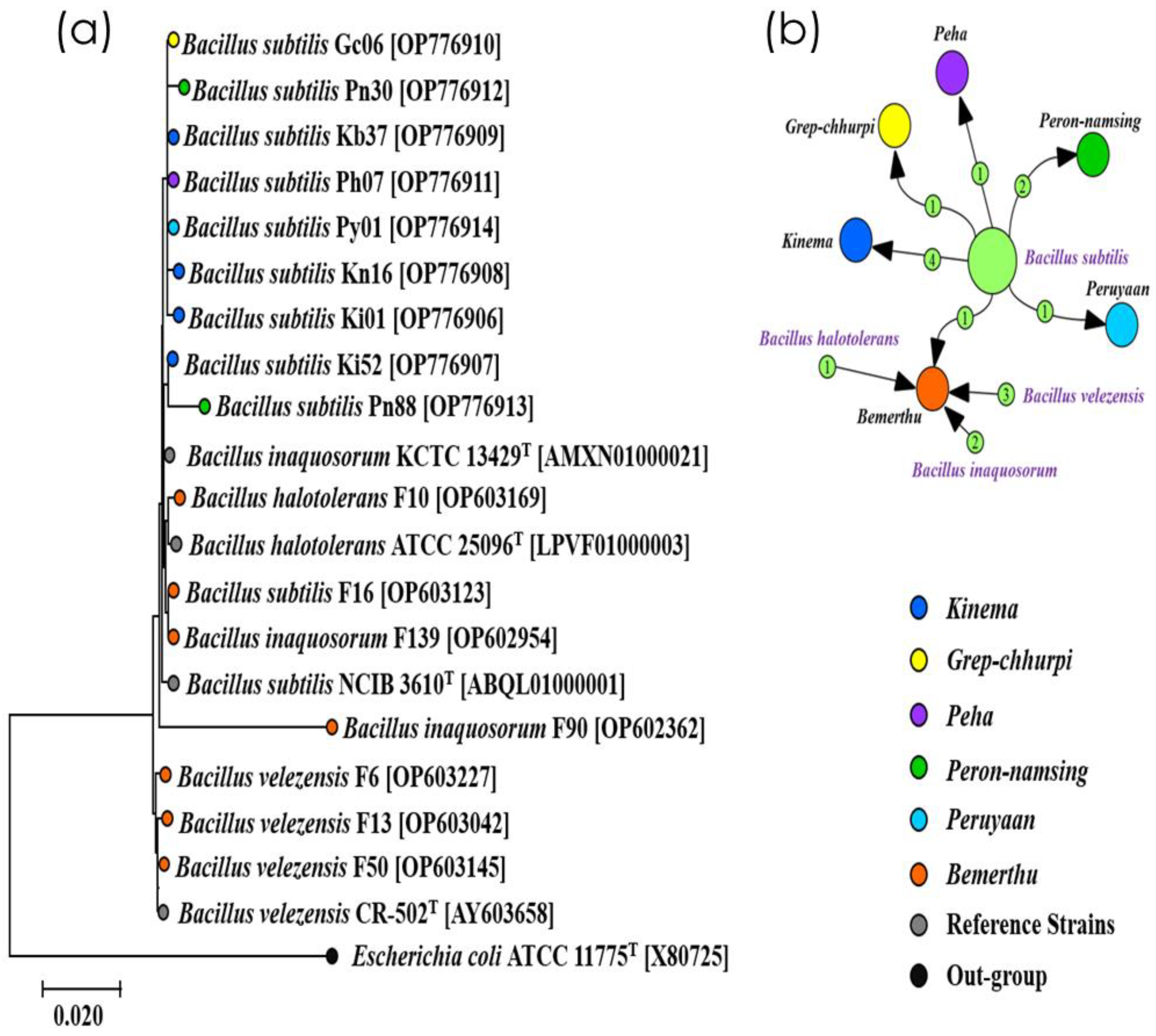 Fermentation 09 00091 g002