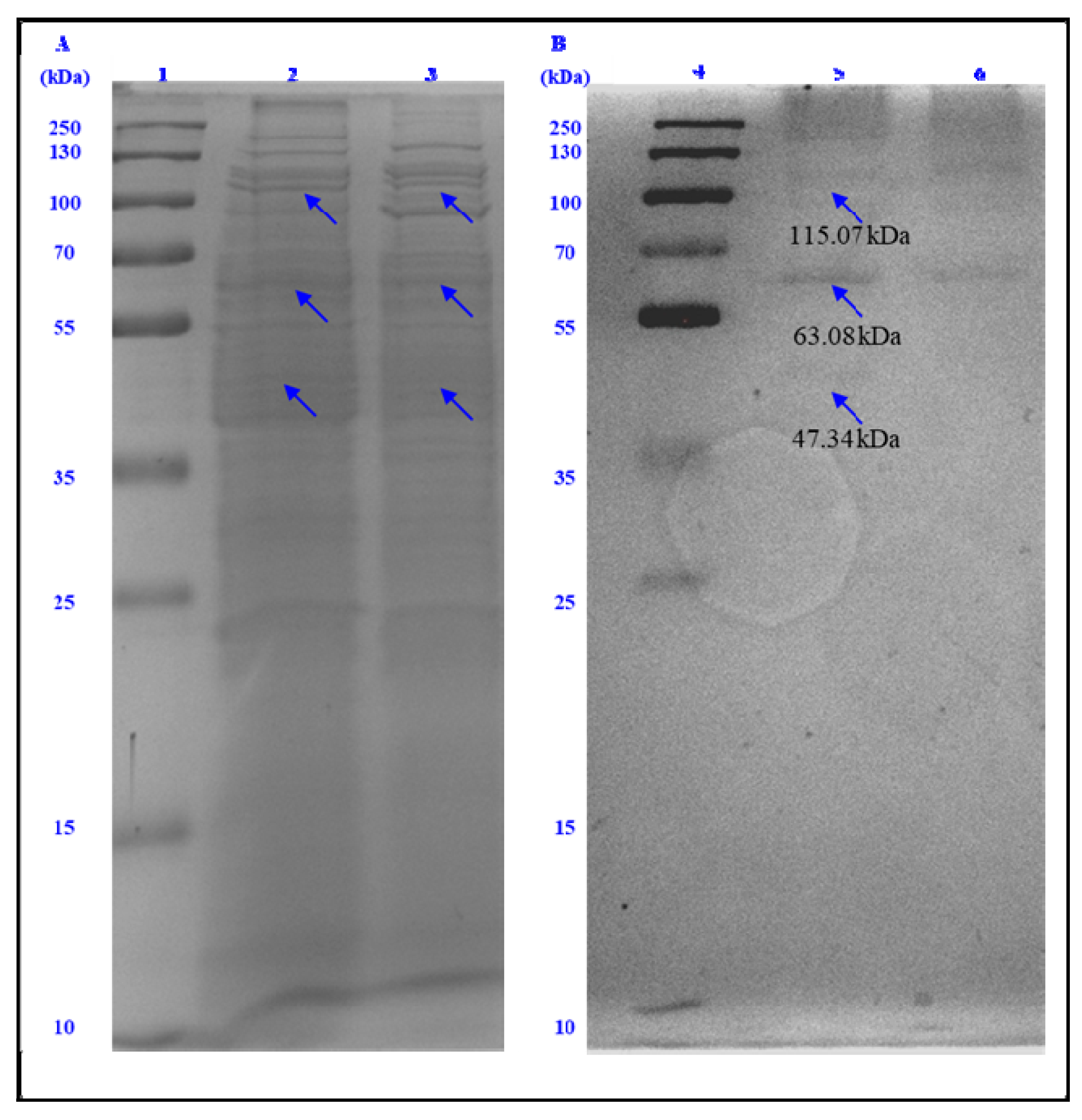Fermentation 09 00098 g002