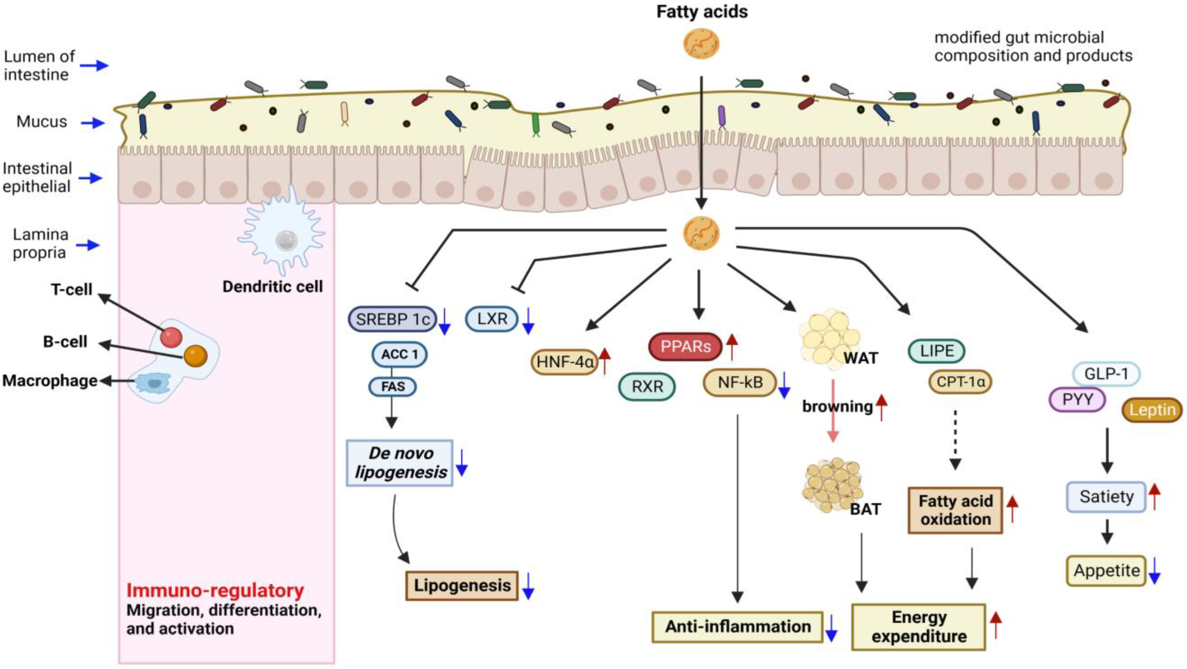 Fermentation 09 00110 g002