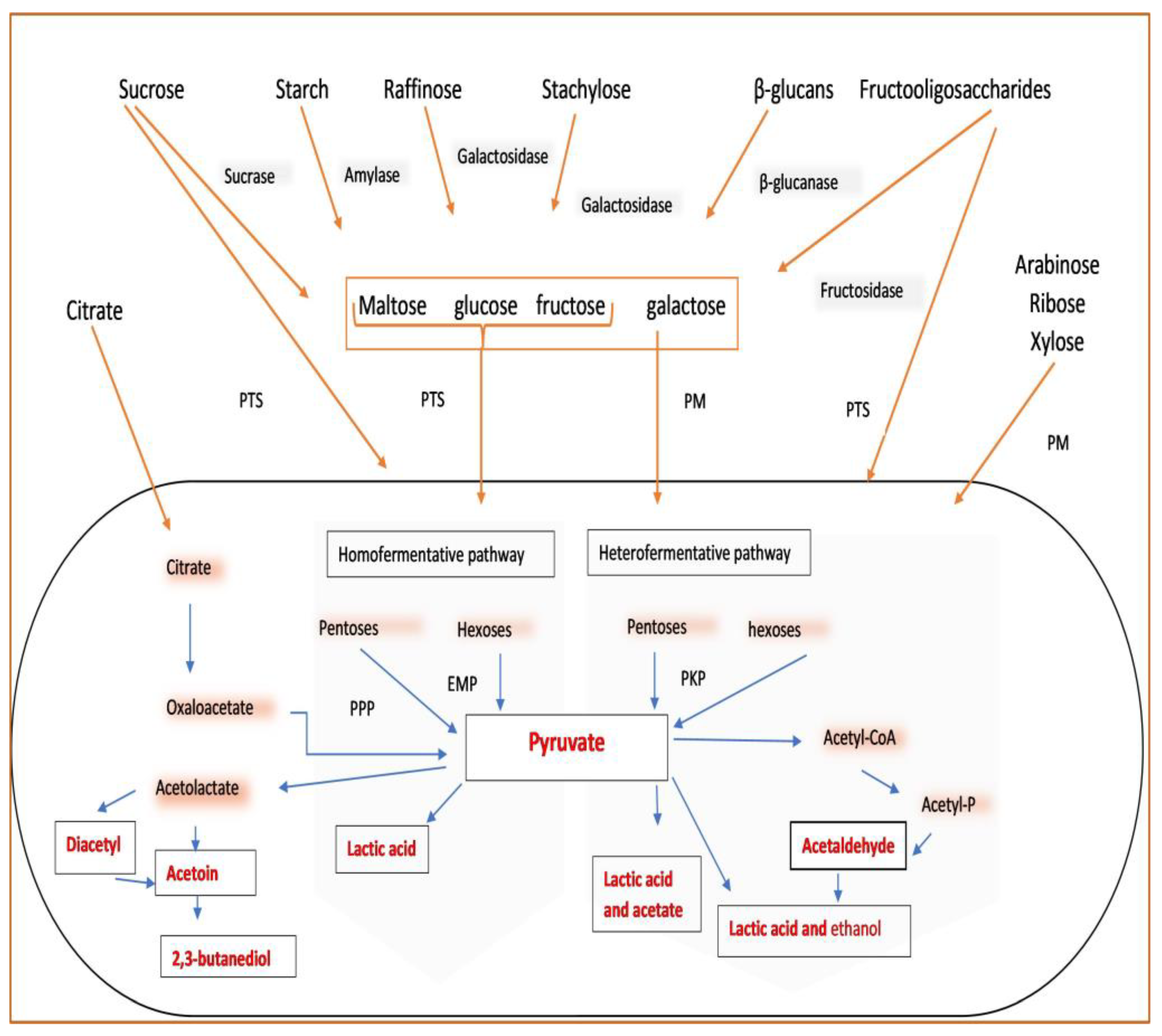 Fermentation 09 00111 g001