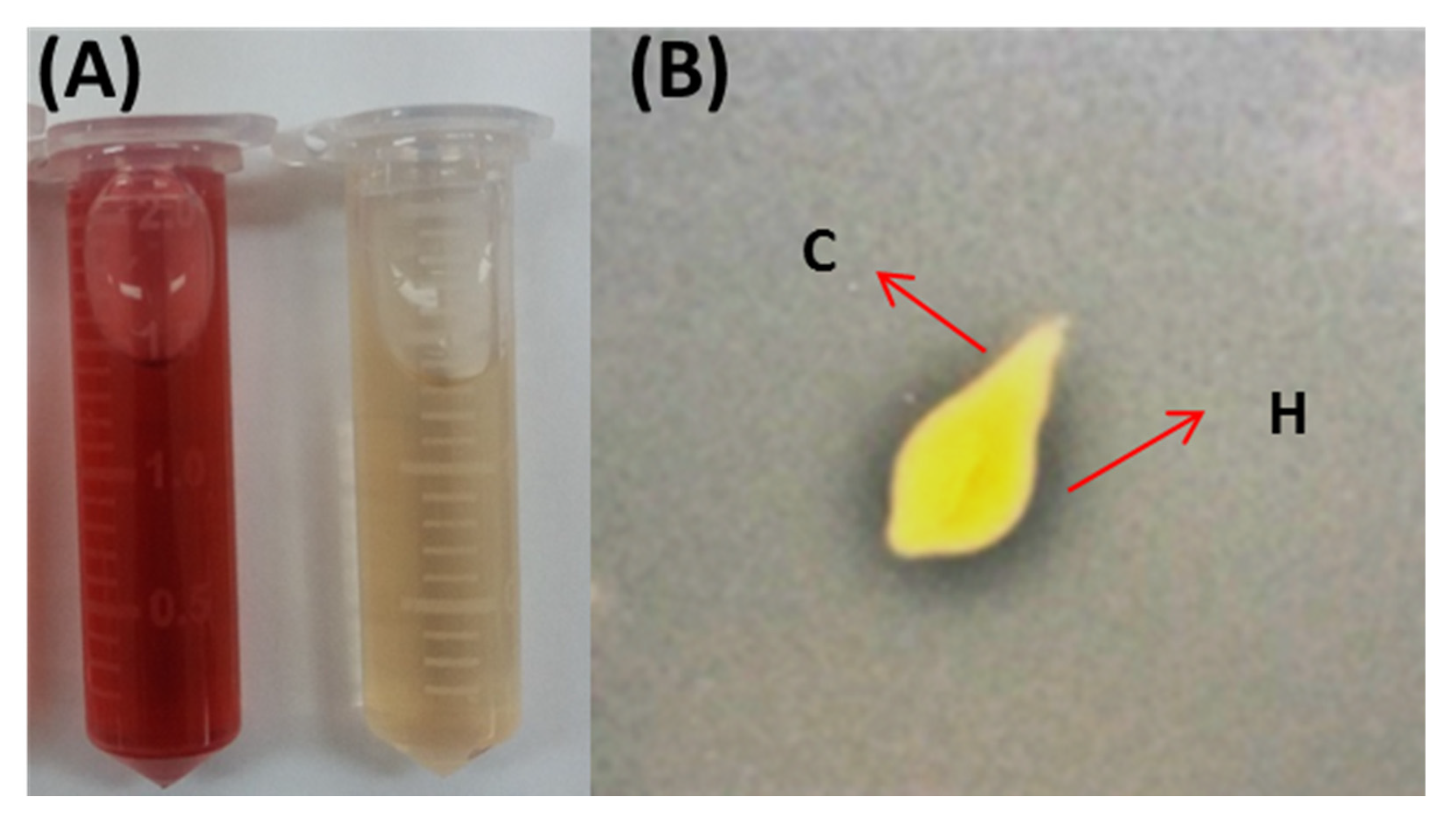 Fermentation 09 00116 g003