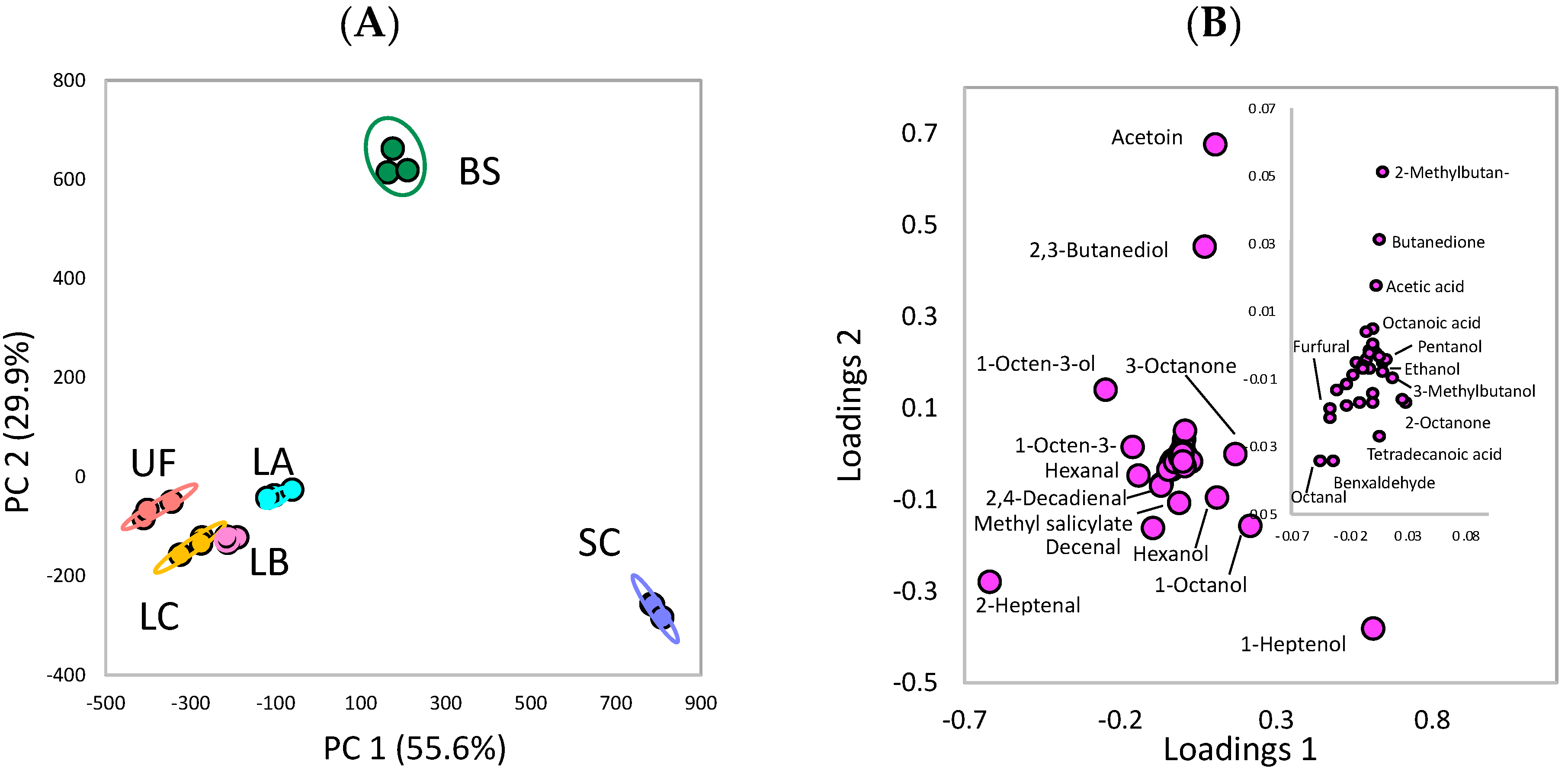 Fermentation 09 00135 g006