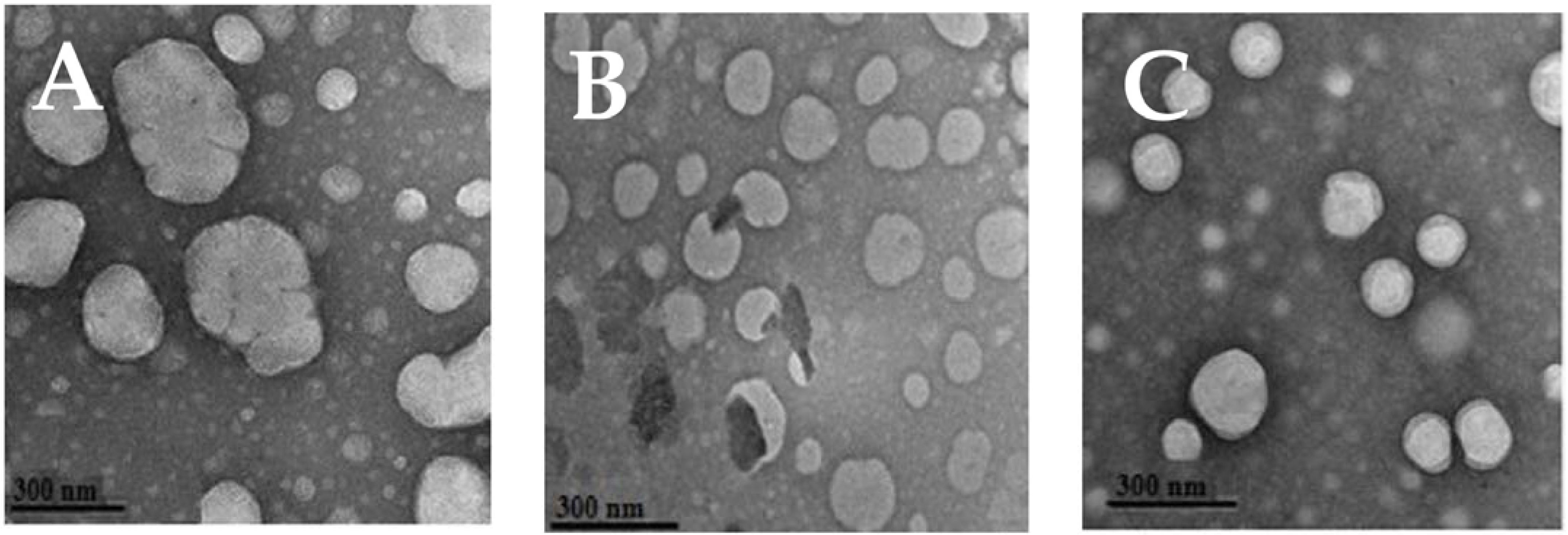 Fermentation 09 00140 g001