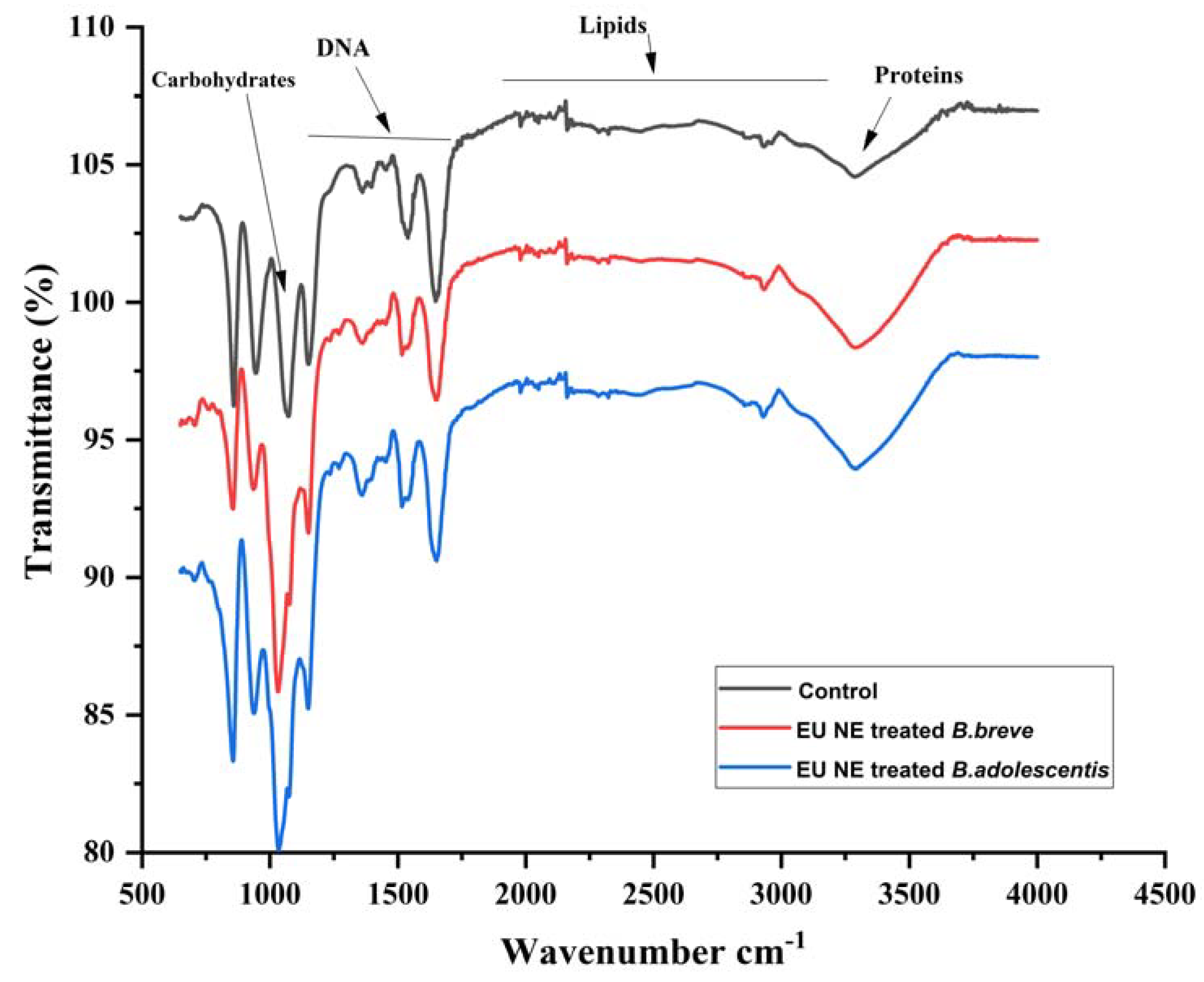 Fermentation 09 00140 g006