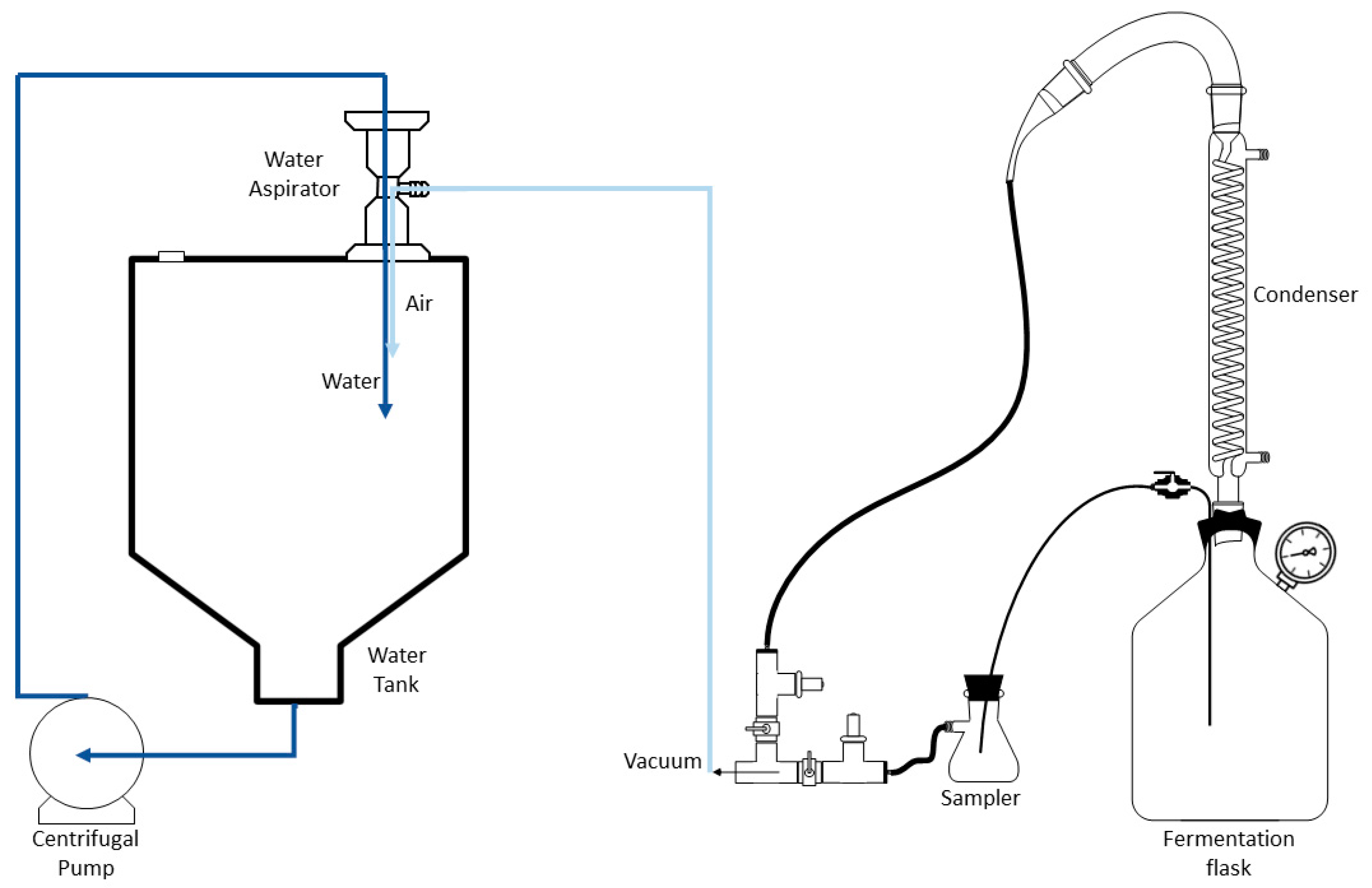Fermentation 09 00155 g001