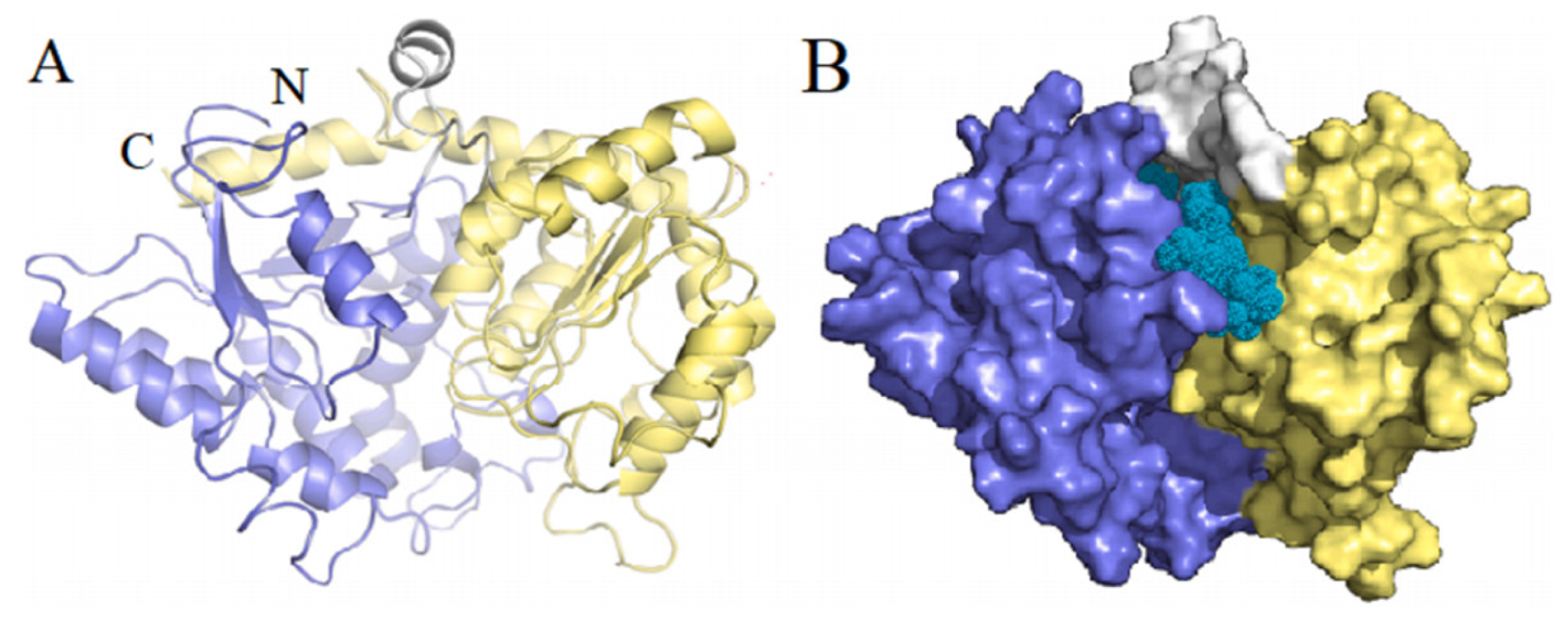 Fermentation 09 00164 g004 Fermentation 09 00164 g004