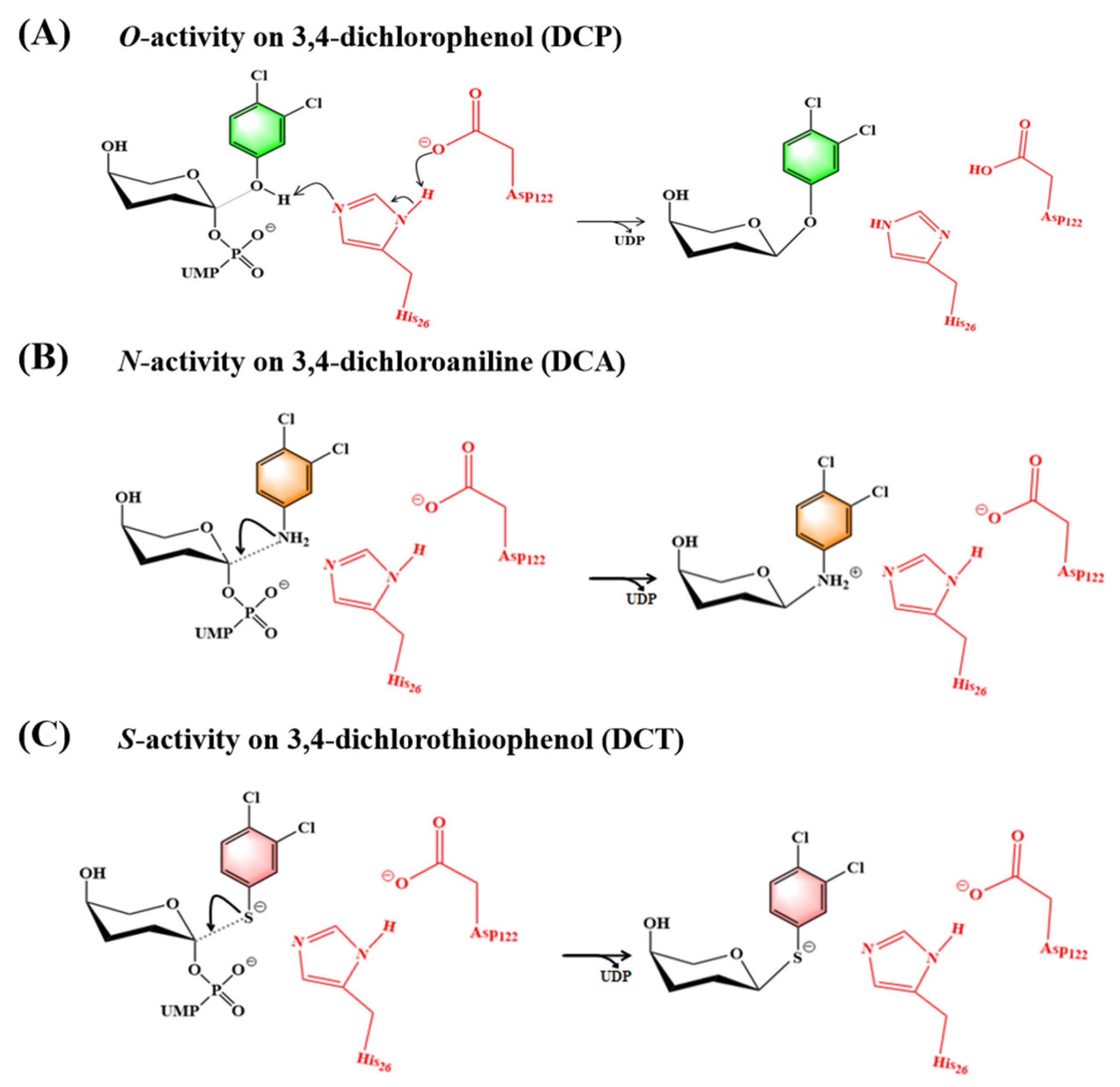 Fermentation 09 00164 g005 Fermentation 09 00164 g005
