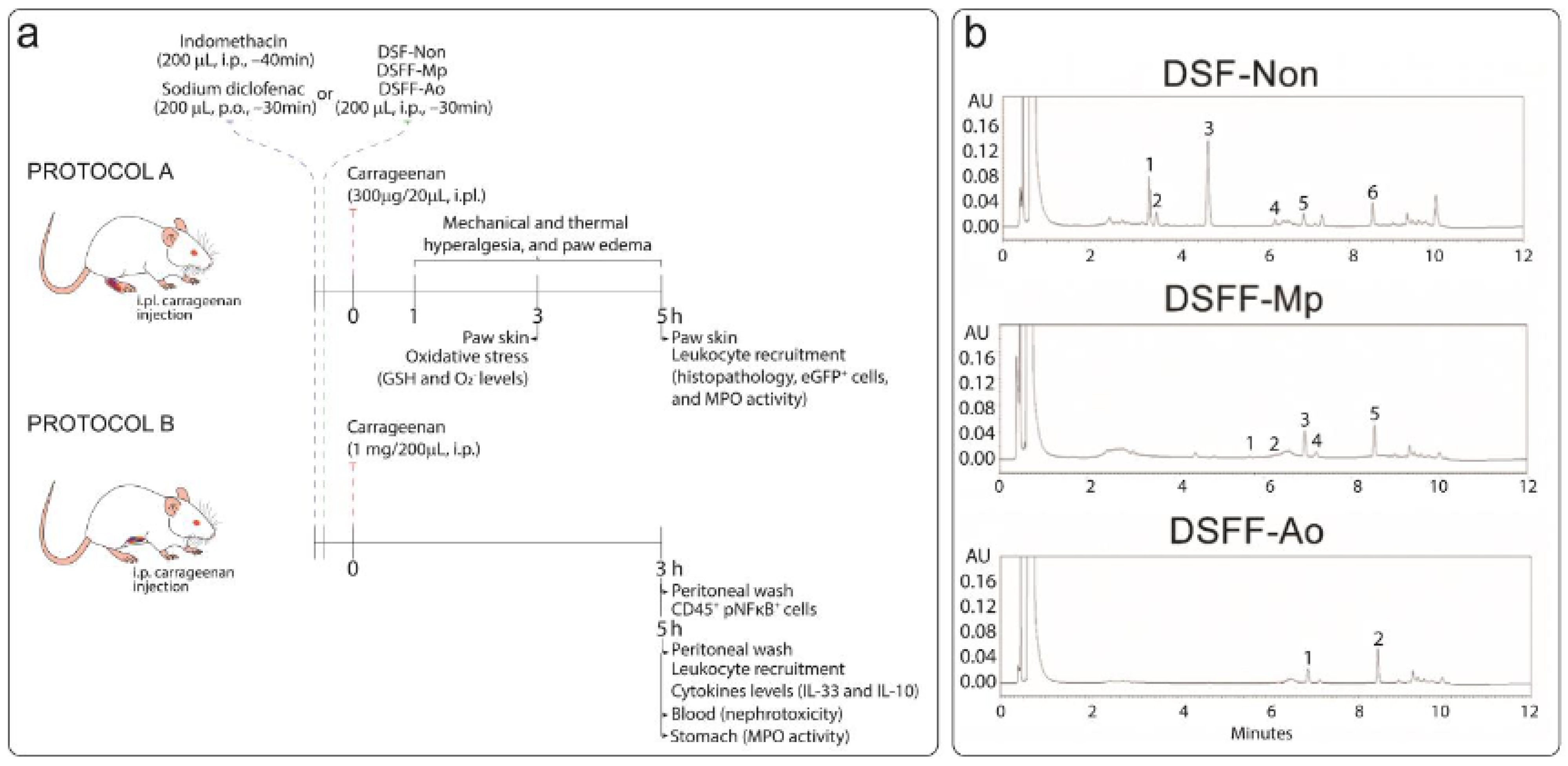 Fermentation 09 00167 g001