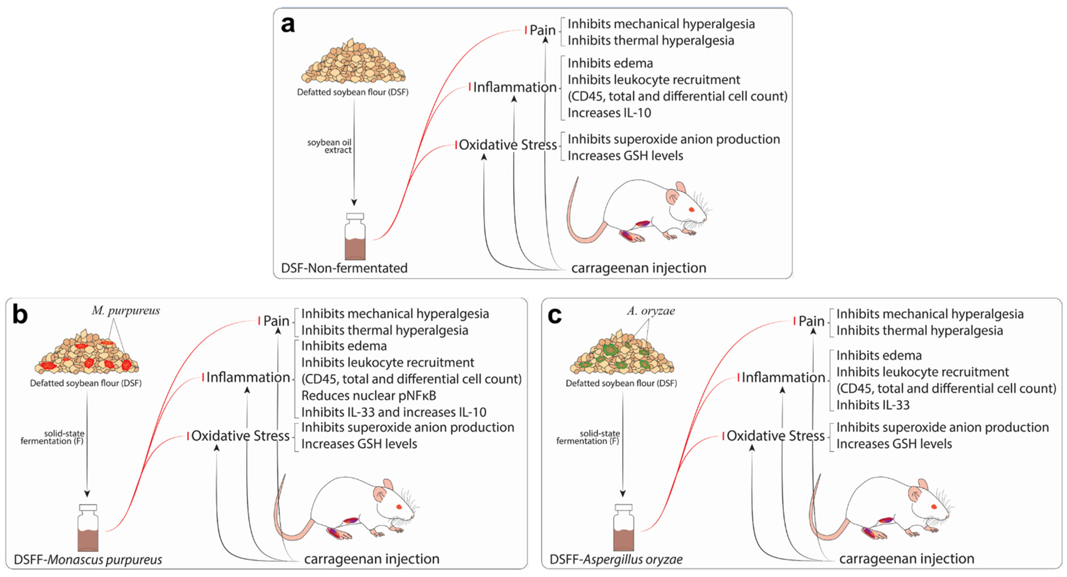 Fermentation 09 00167 g008