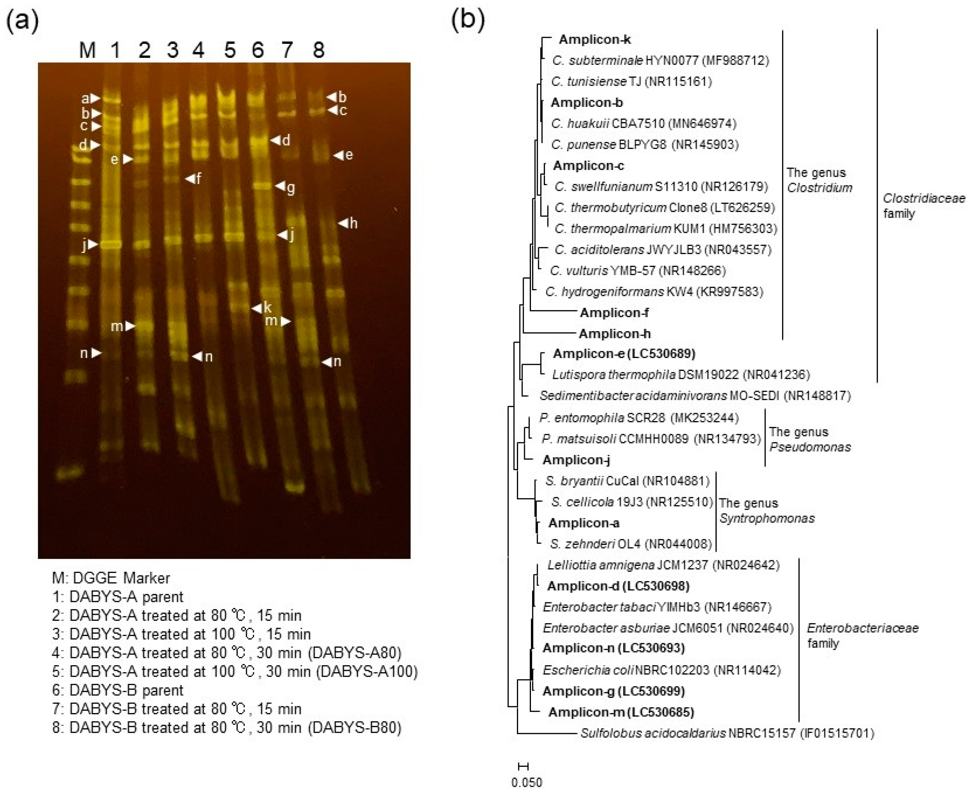 Fermentation 09 00175 g004 Fermentation 09 00175 g004