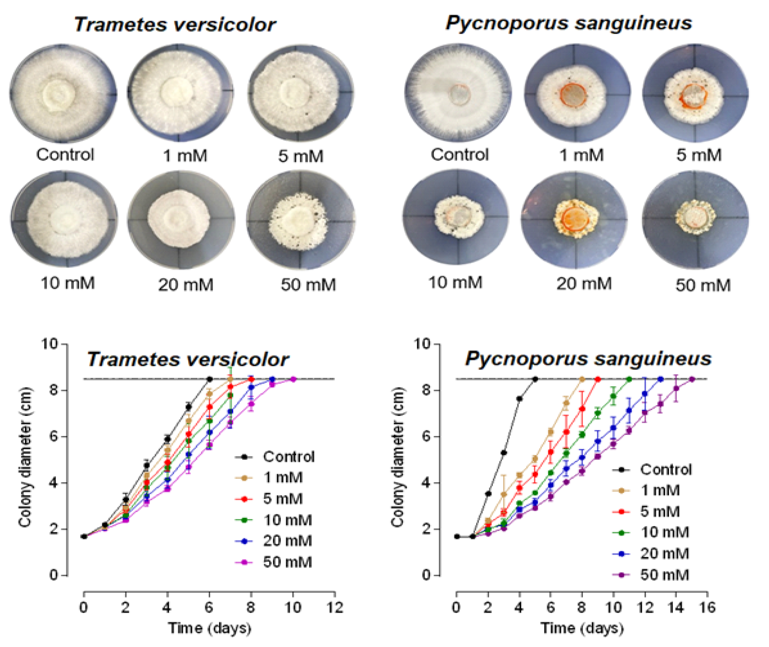 Fermentation 09 00188 g001