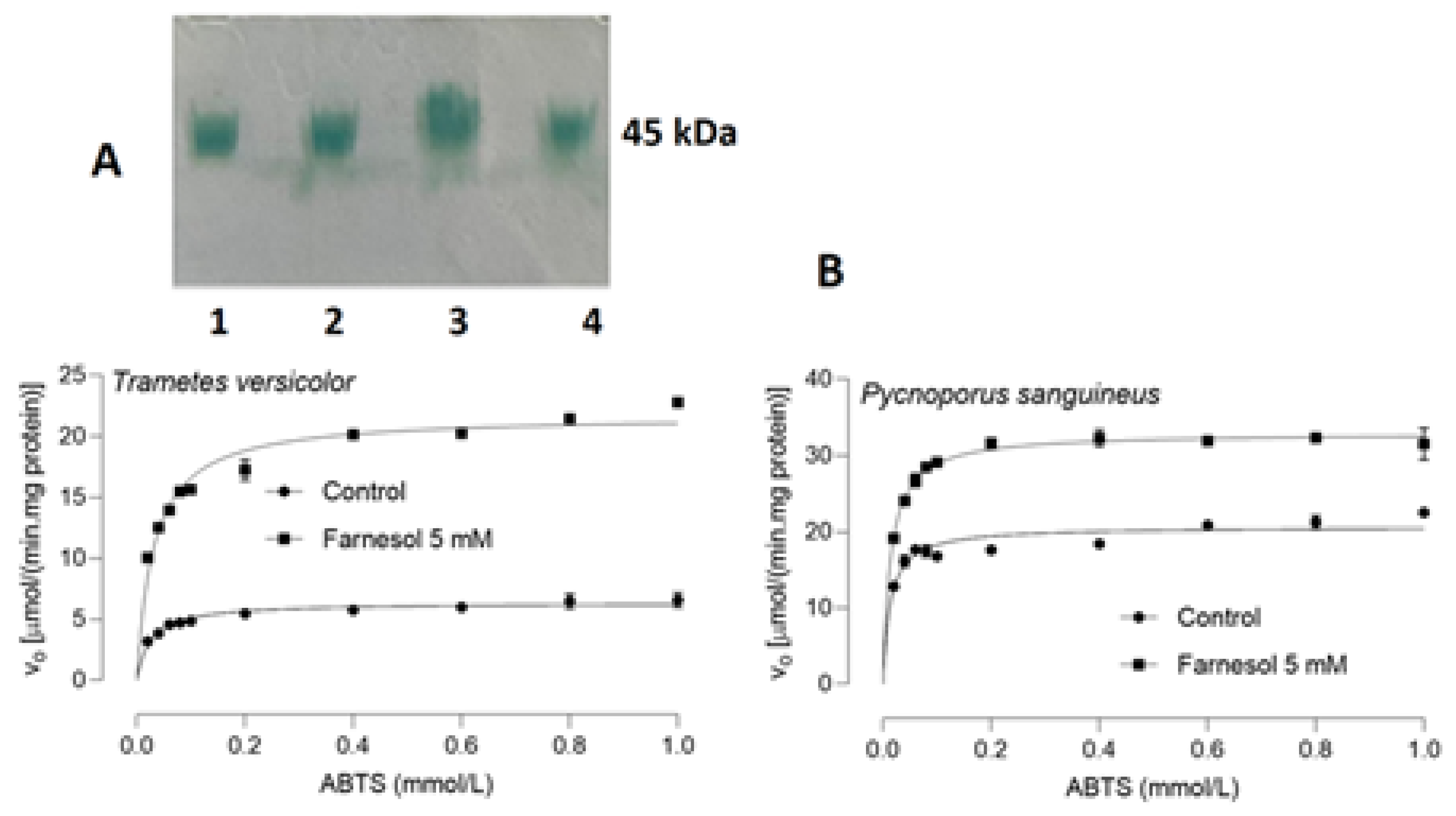 Fermentation 09 00188 g005
