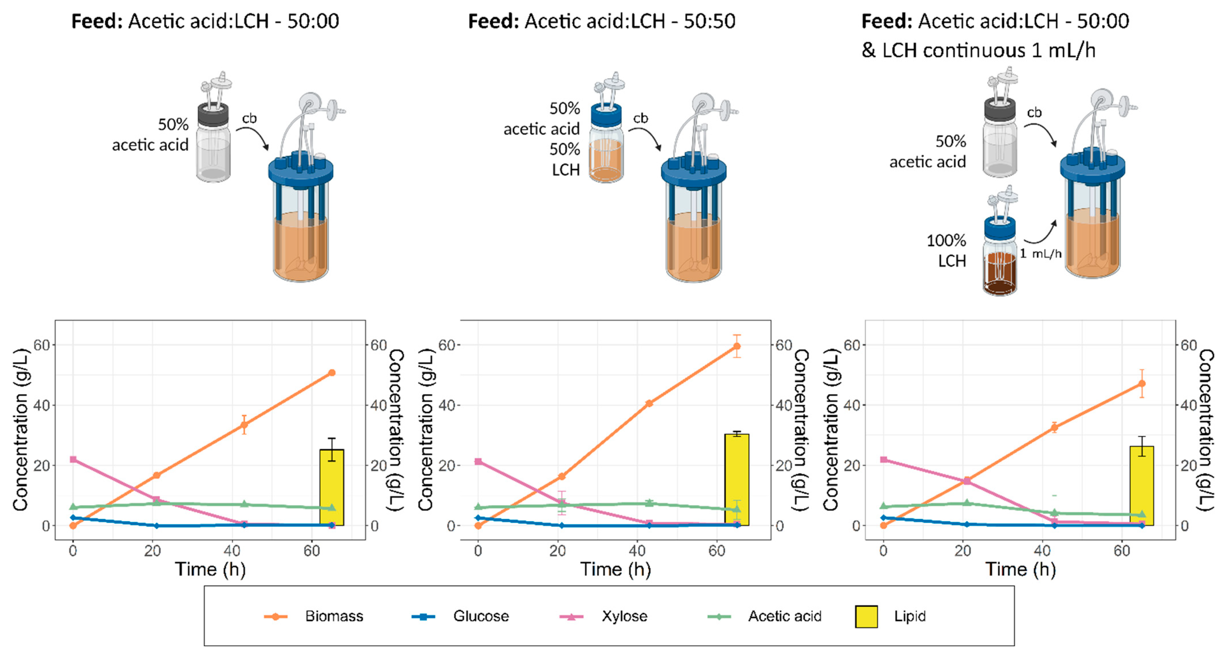 Fermentation 09 00189 g003
