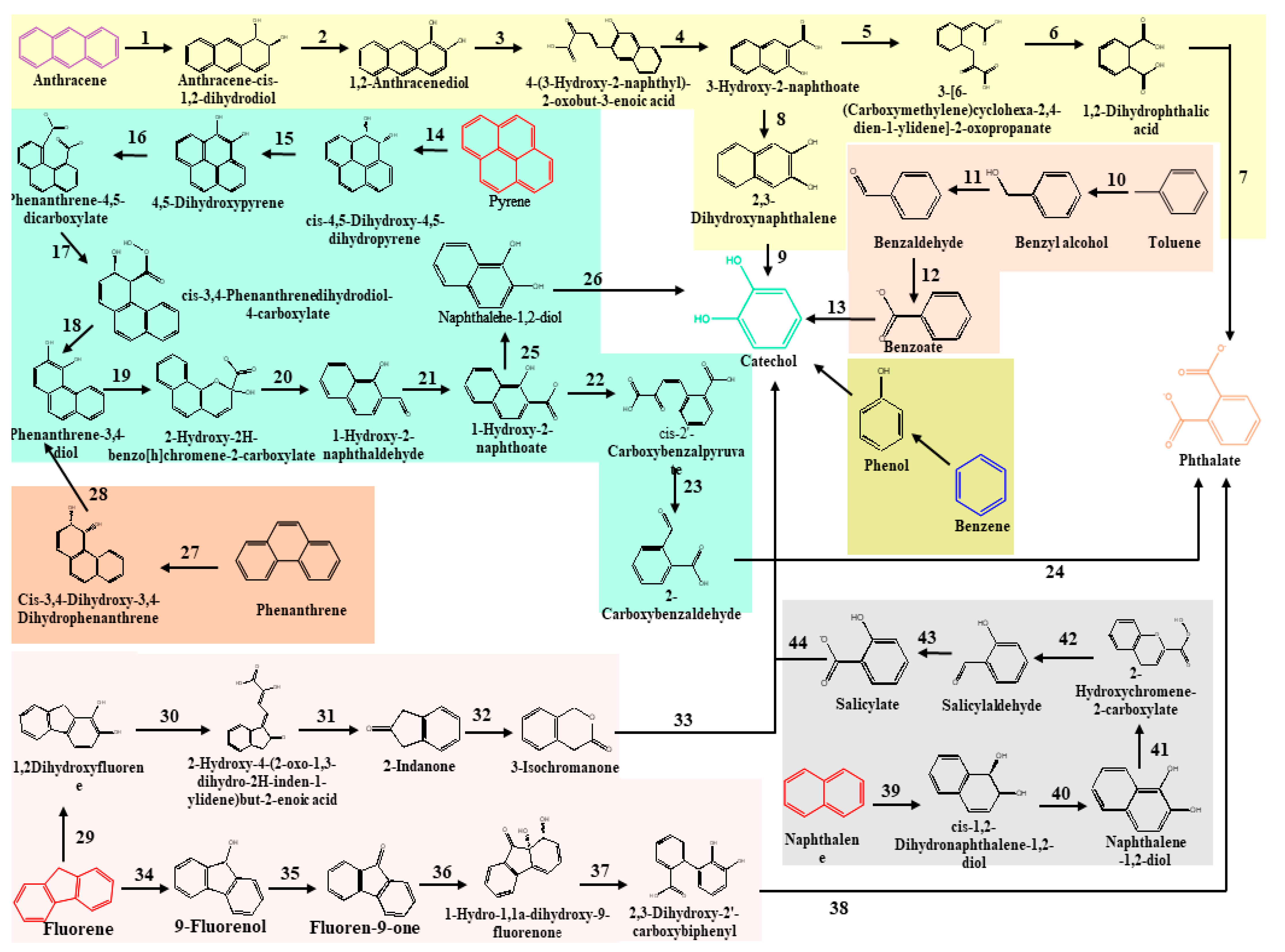 Fermentation 09 00196 g001 Fermentation 09 00196 g001