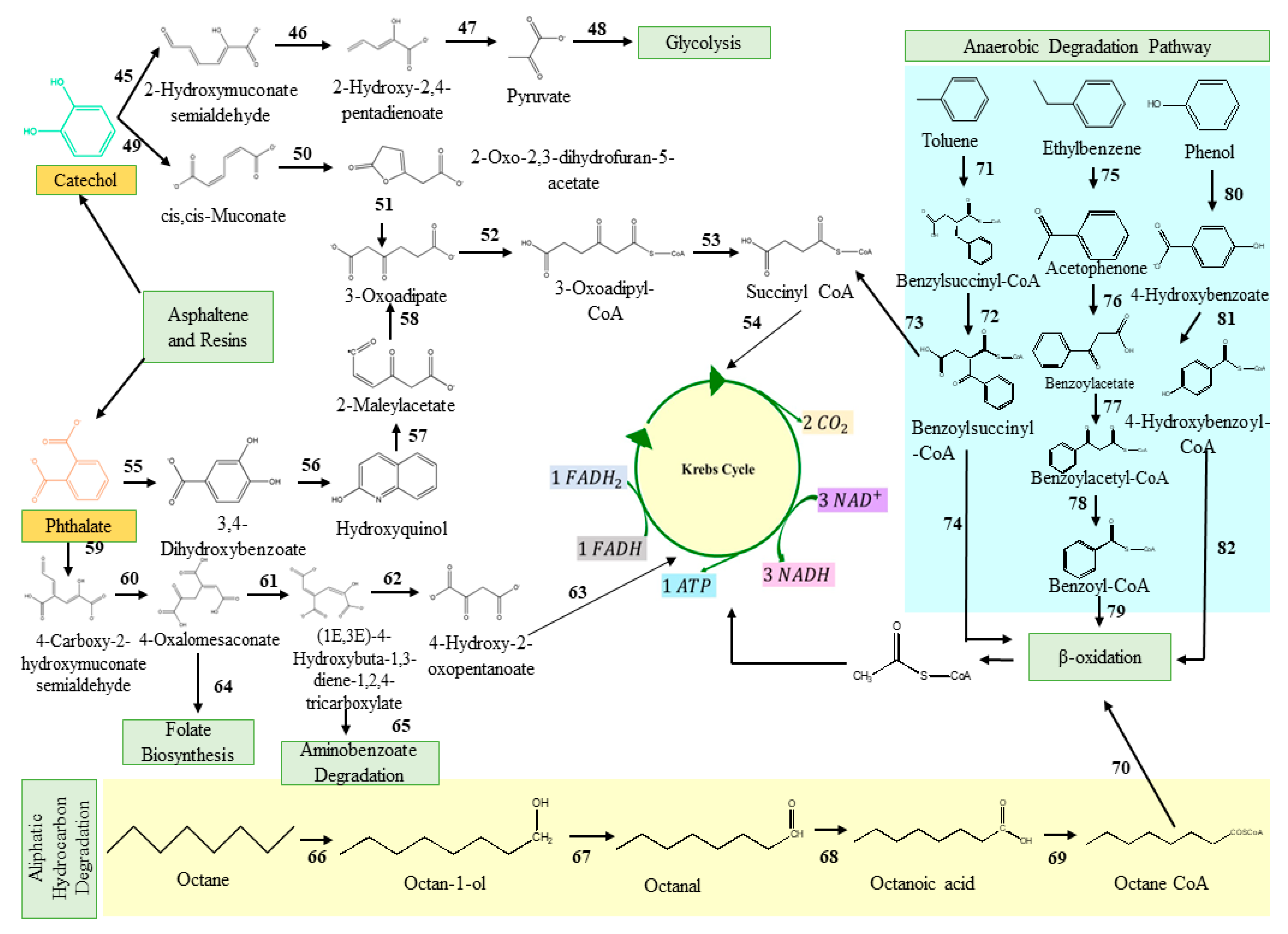 Fermentation 09 00196 g002 Fermentation 09 00196 g002