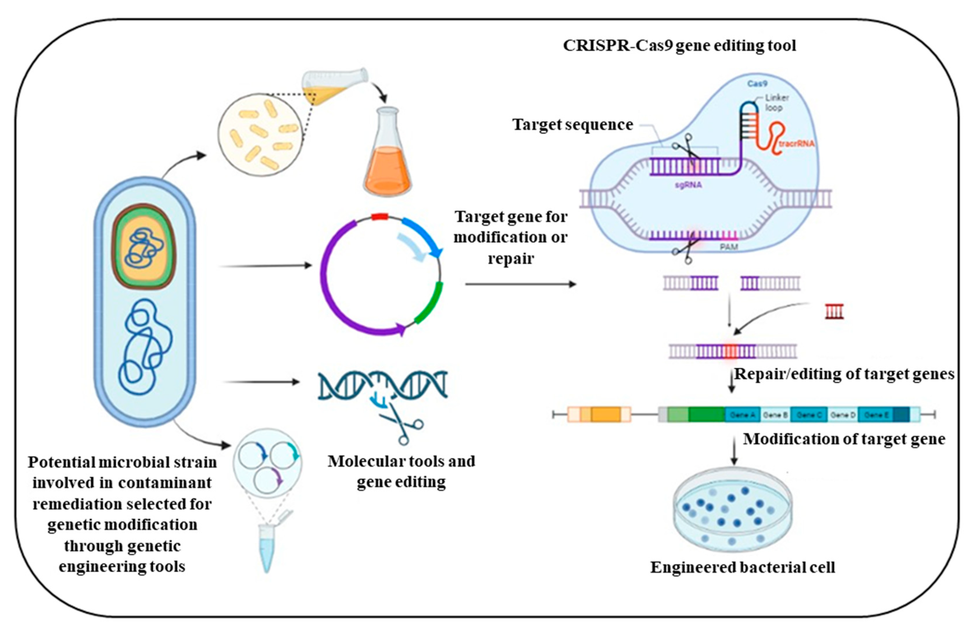 Fermentation 09 00196 g004 Fermentation 09 00196 g004
