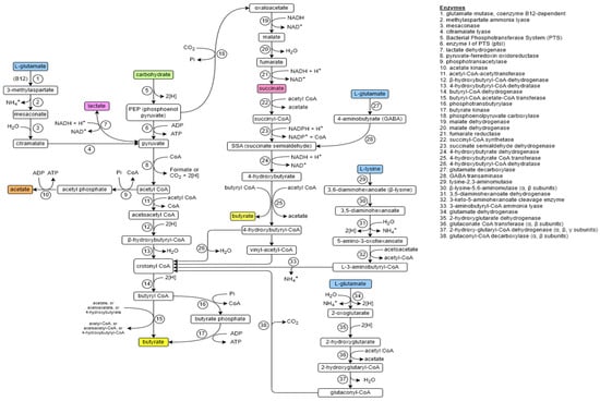 Fermentation 09 00205 g001