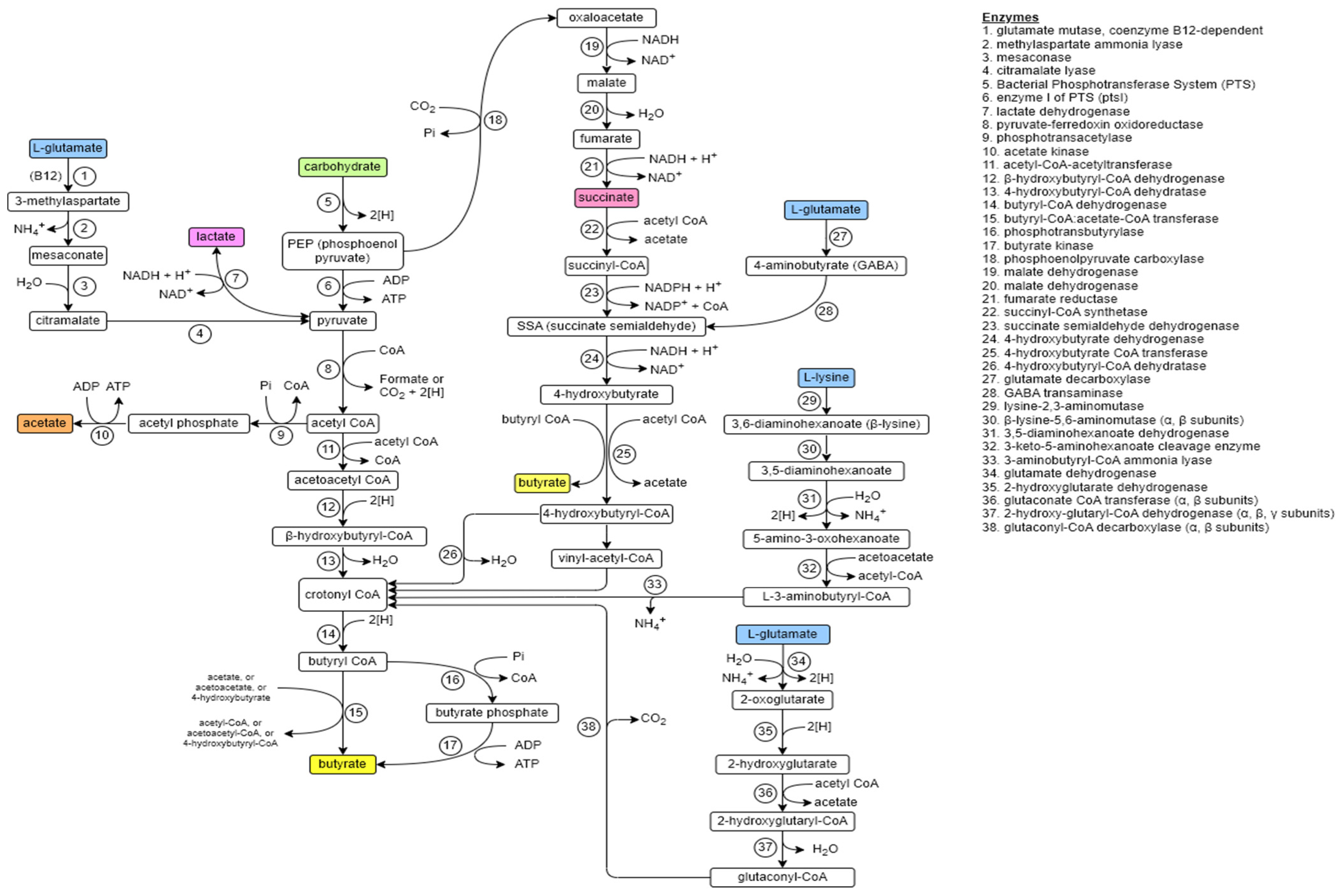 Fermentation 09 00205 g001
