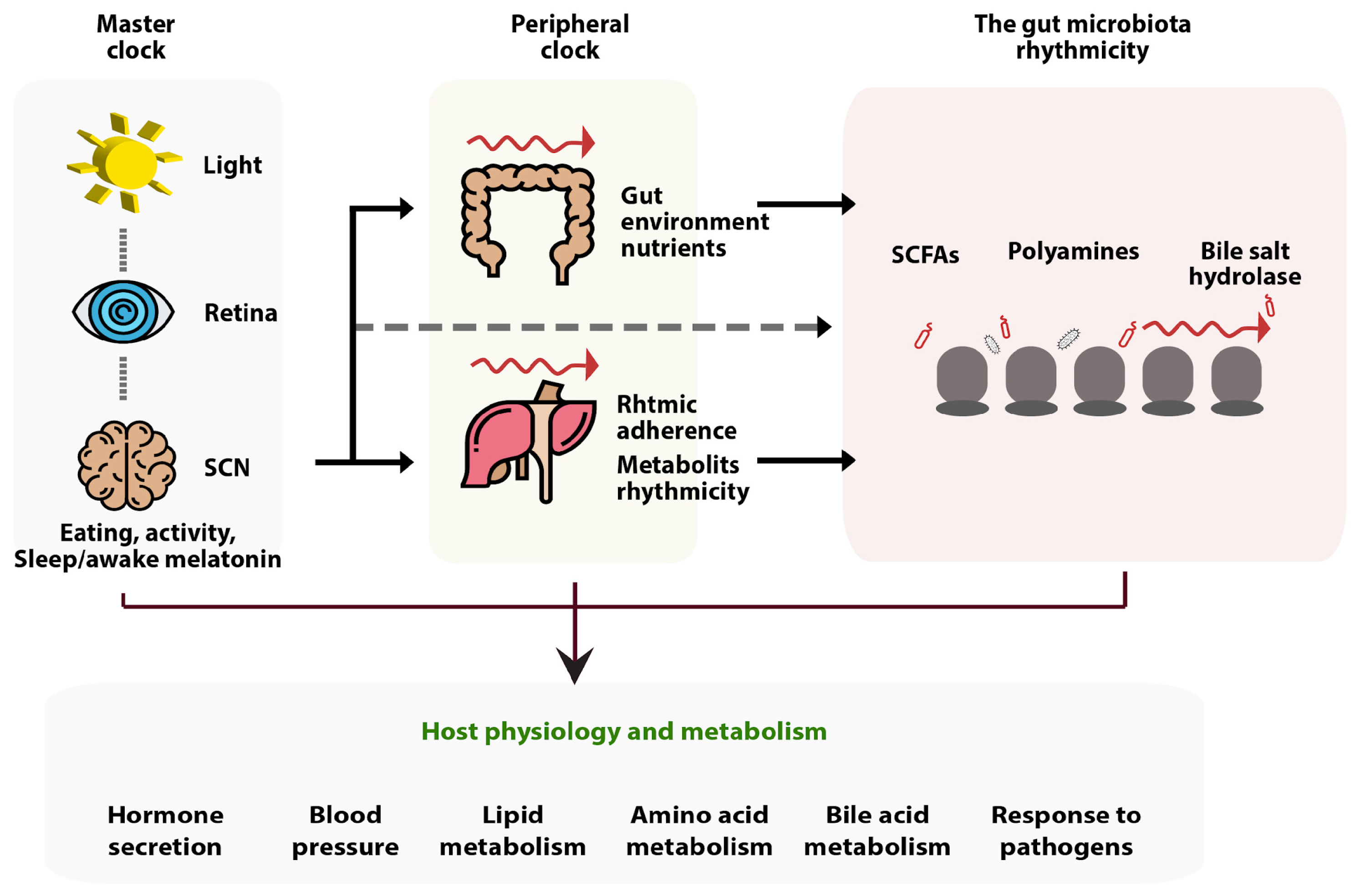 Fermentation 09 00205 g003