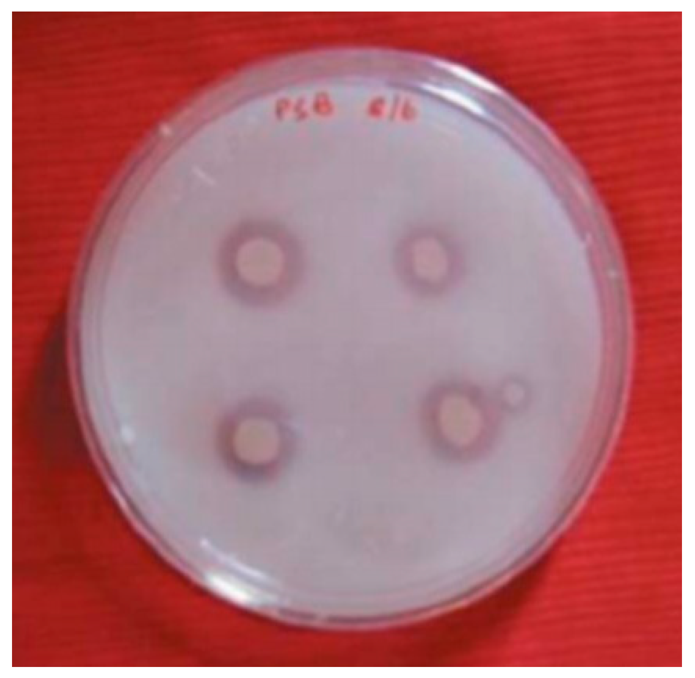 Fermentation 09 00207 g007