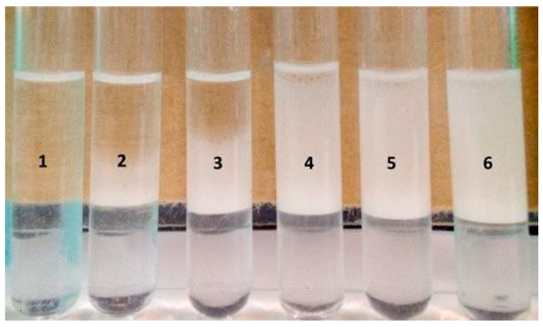 Fermentation 09 00207 g010