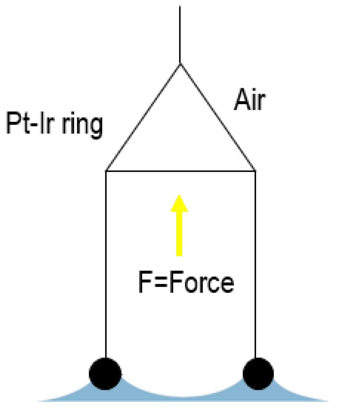 Fermentation 09 00207 g012