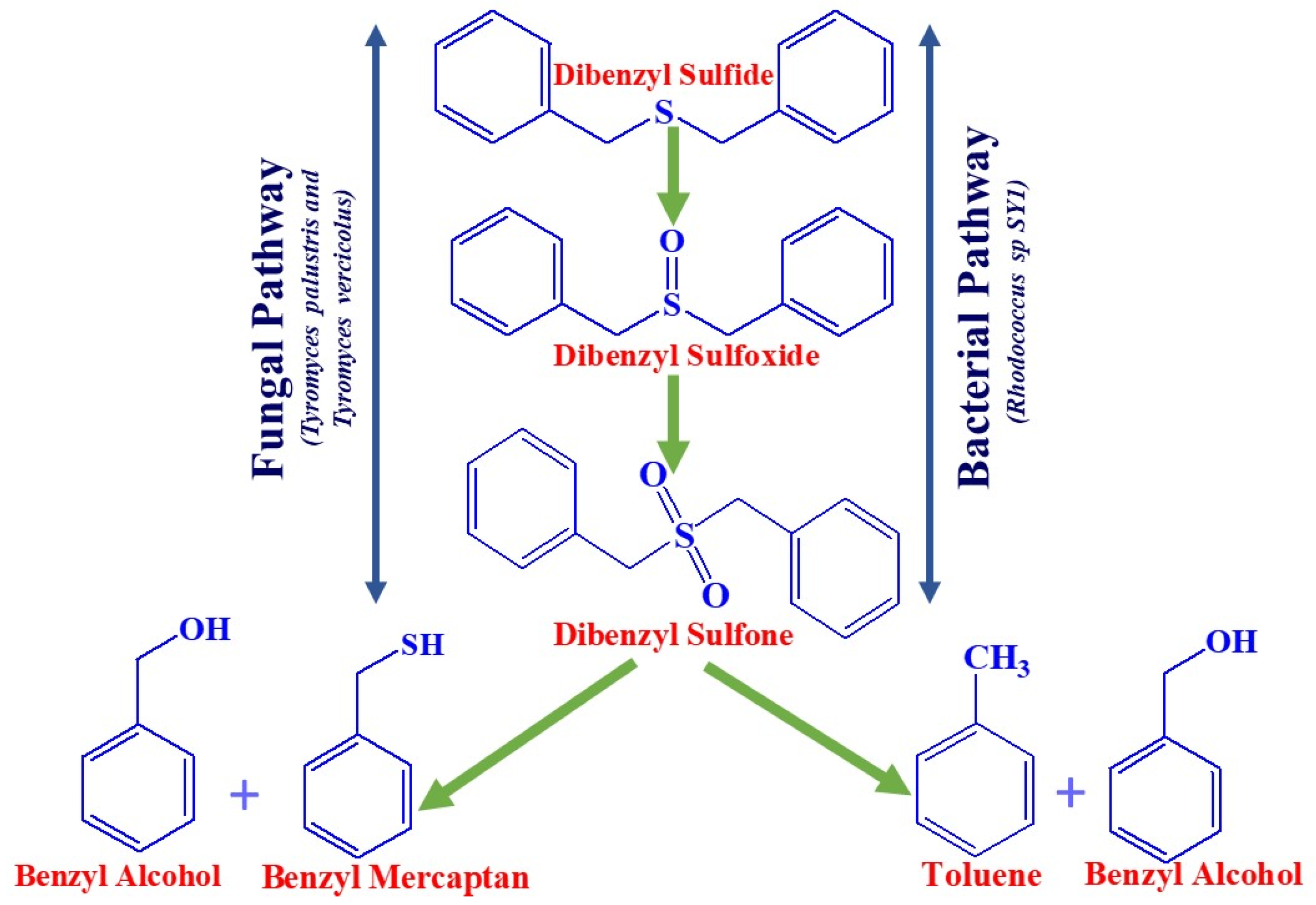 Fermentation 09 00211 g004