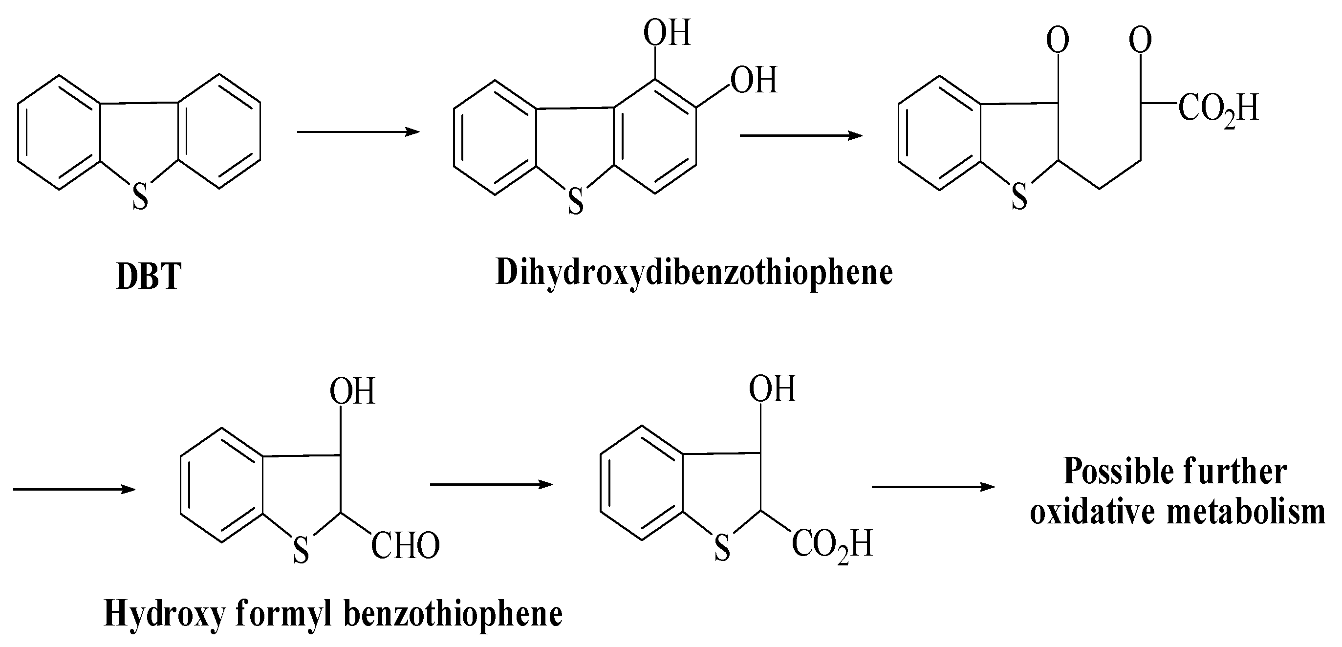 Fermentation 09 00211 sch002