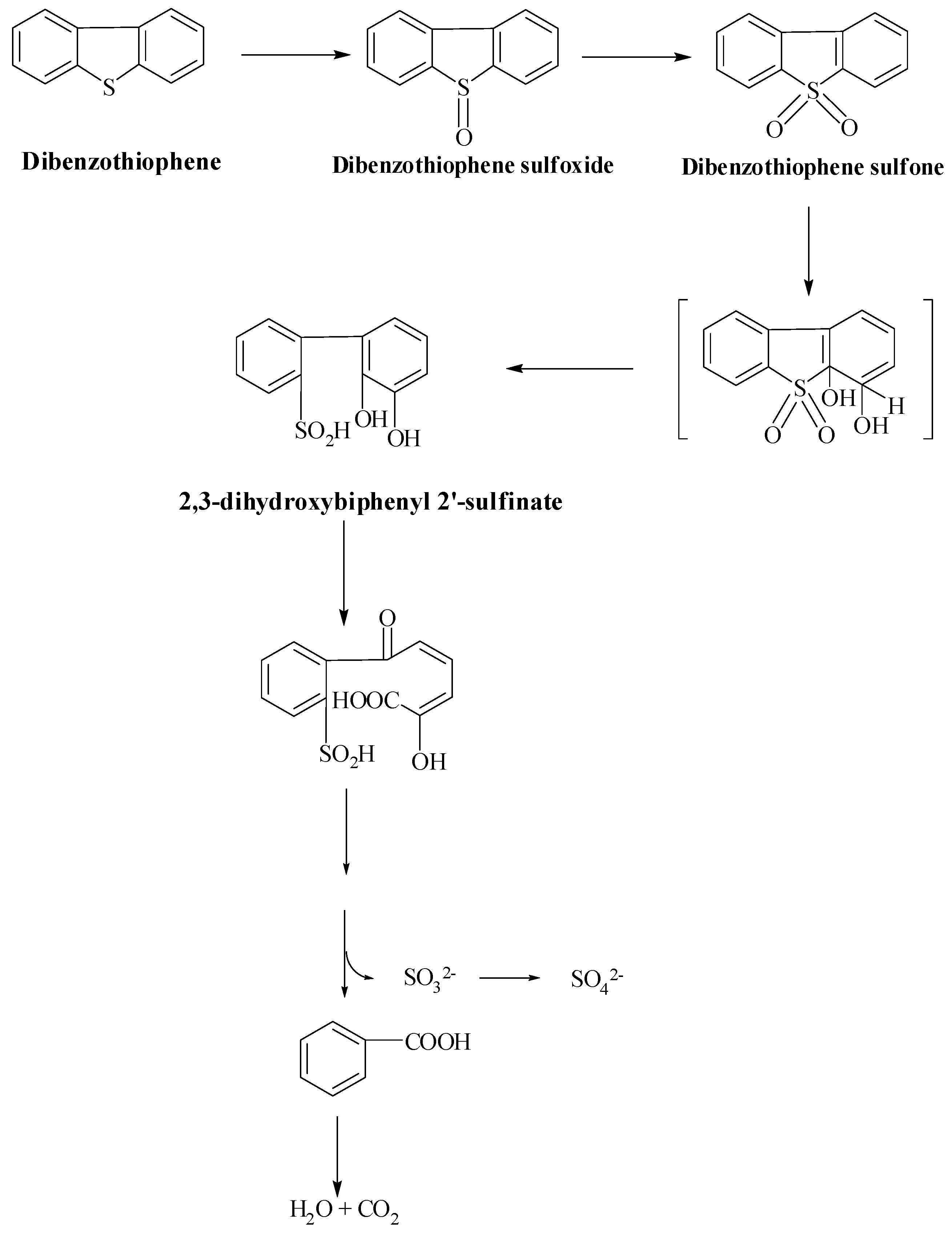 Fermentation 09 00211 sch004