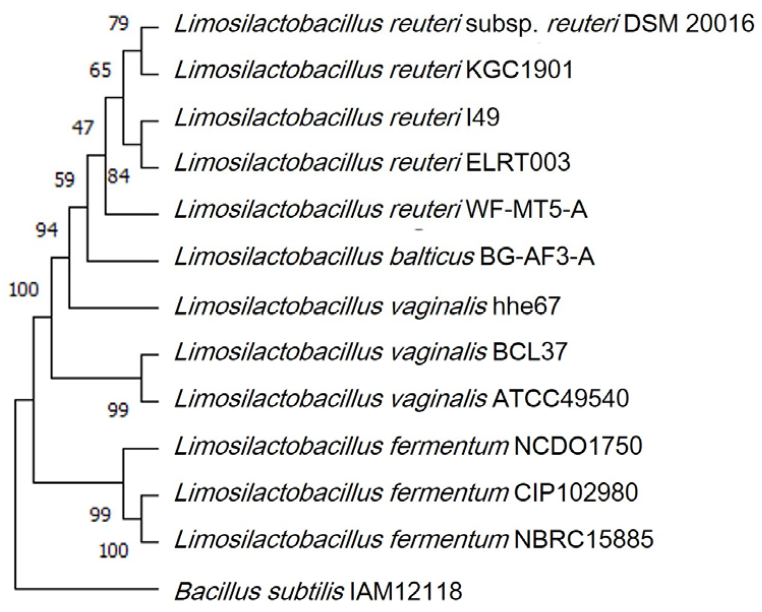Fermentation 09 00228 g001 Fermentation 09 00228 g001