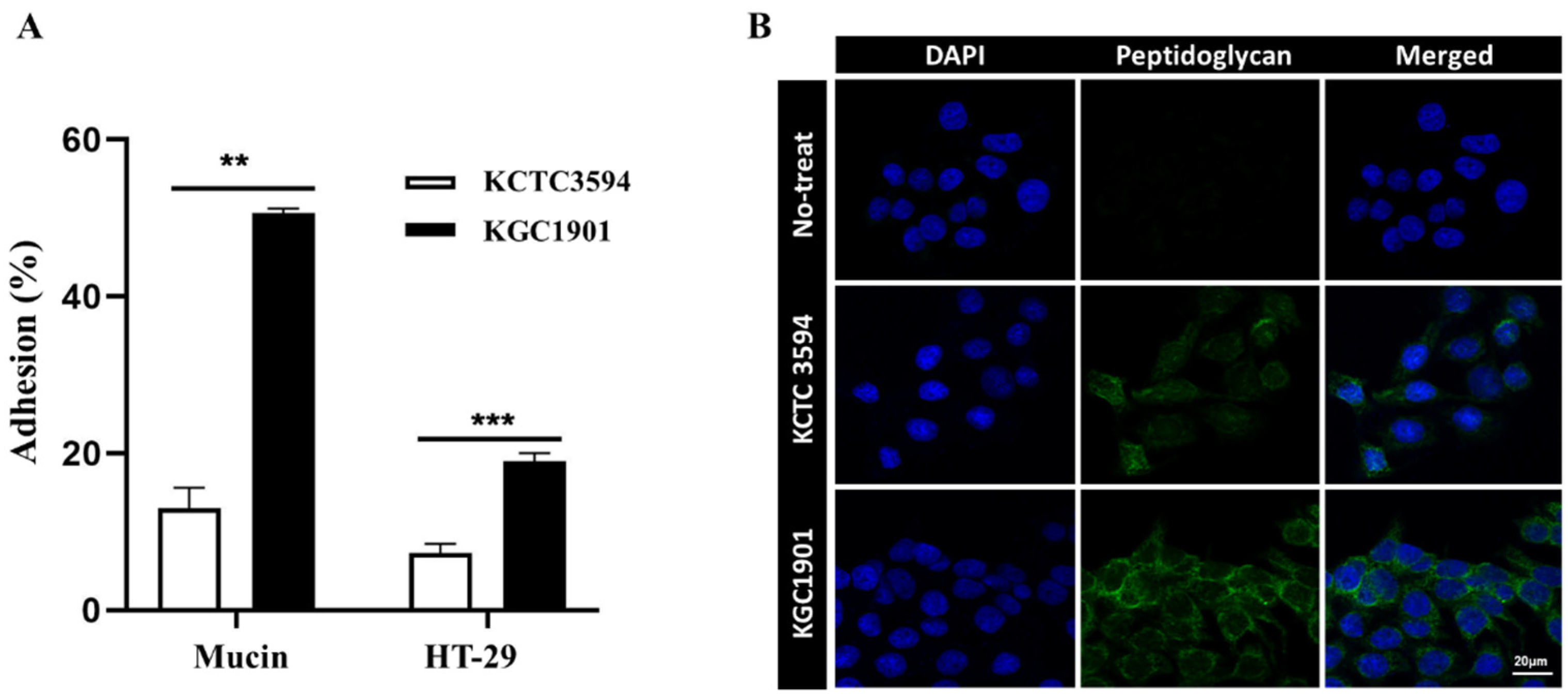 Fermentation 09 00228 g003 Fermentation 09 00228 g003