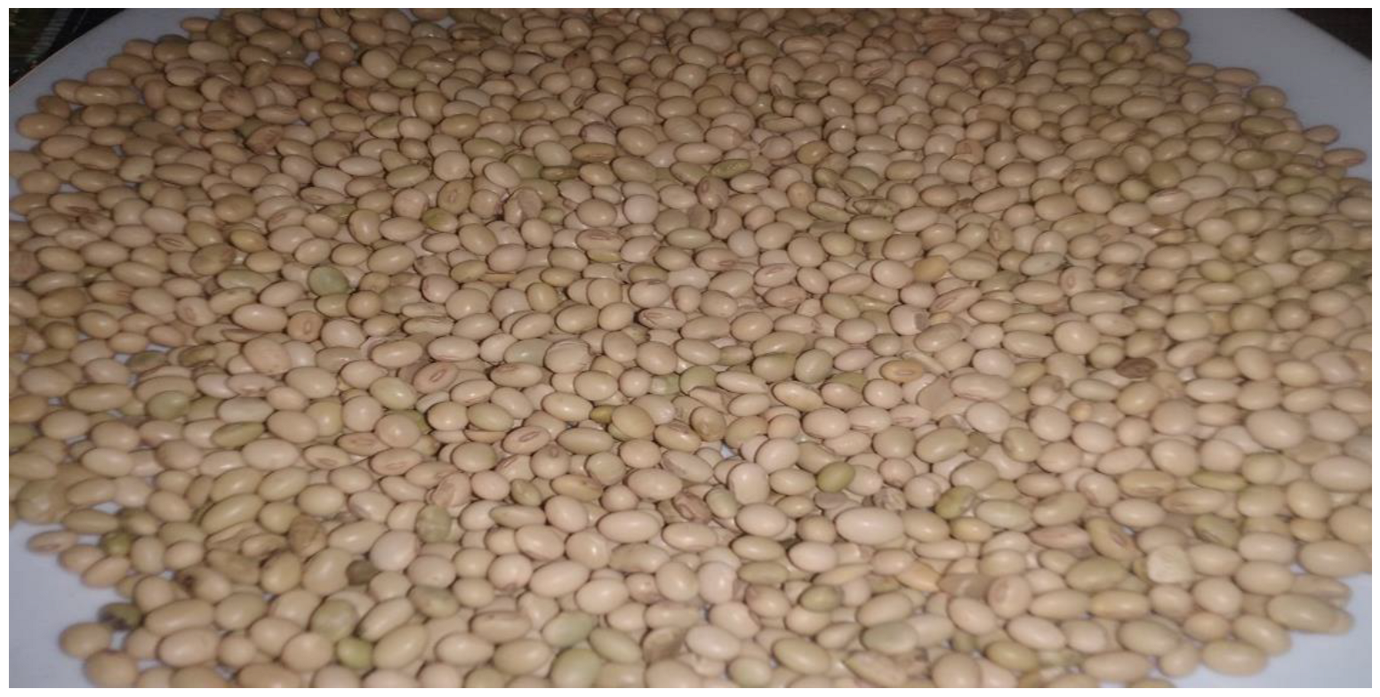 Fermentation 09 00250 g004