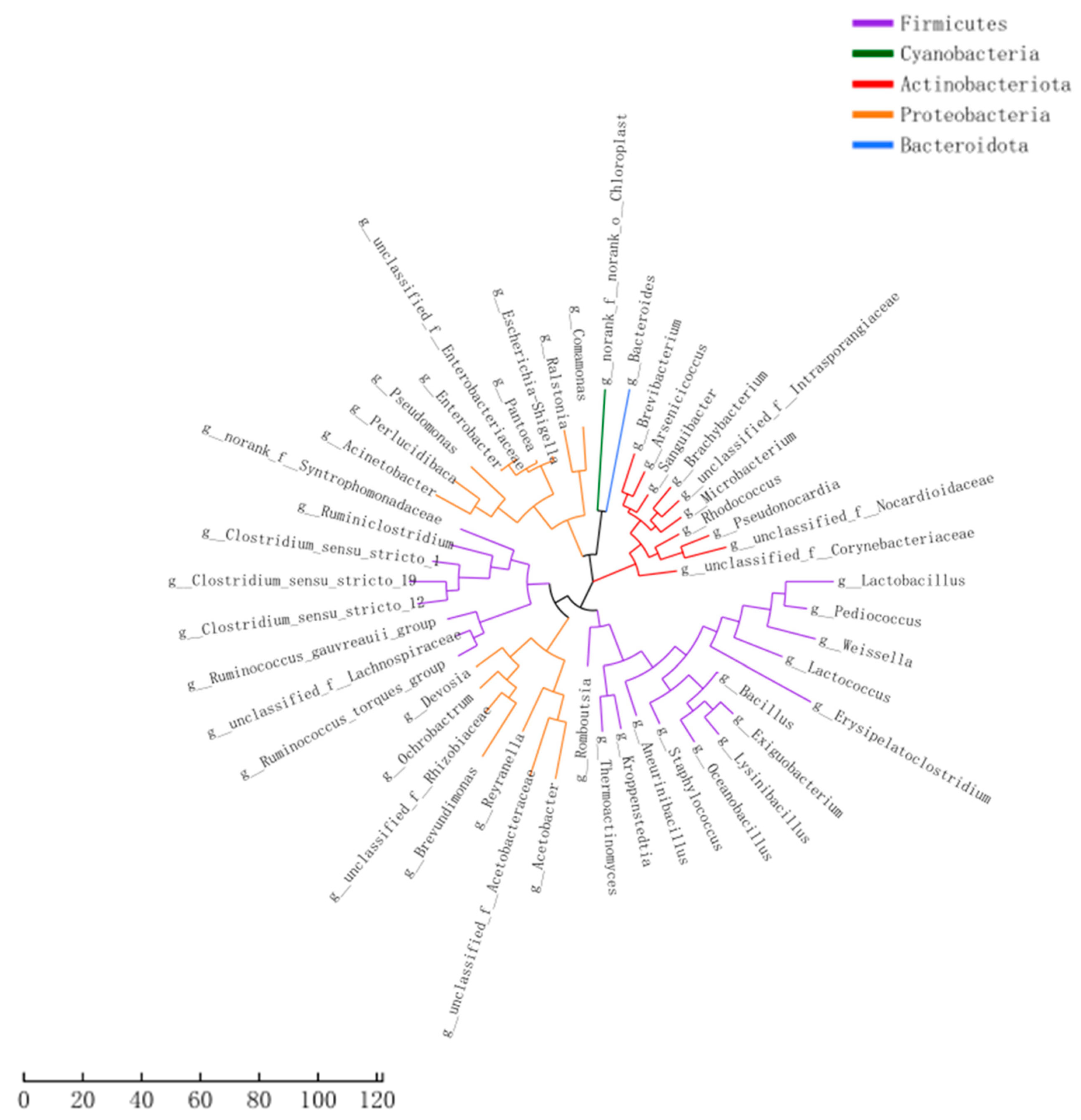 Fermentation 09 00260 g005