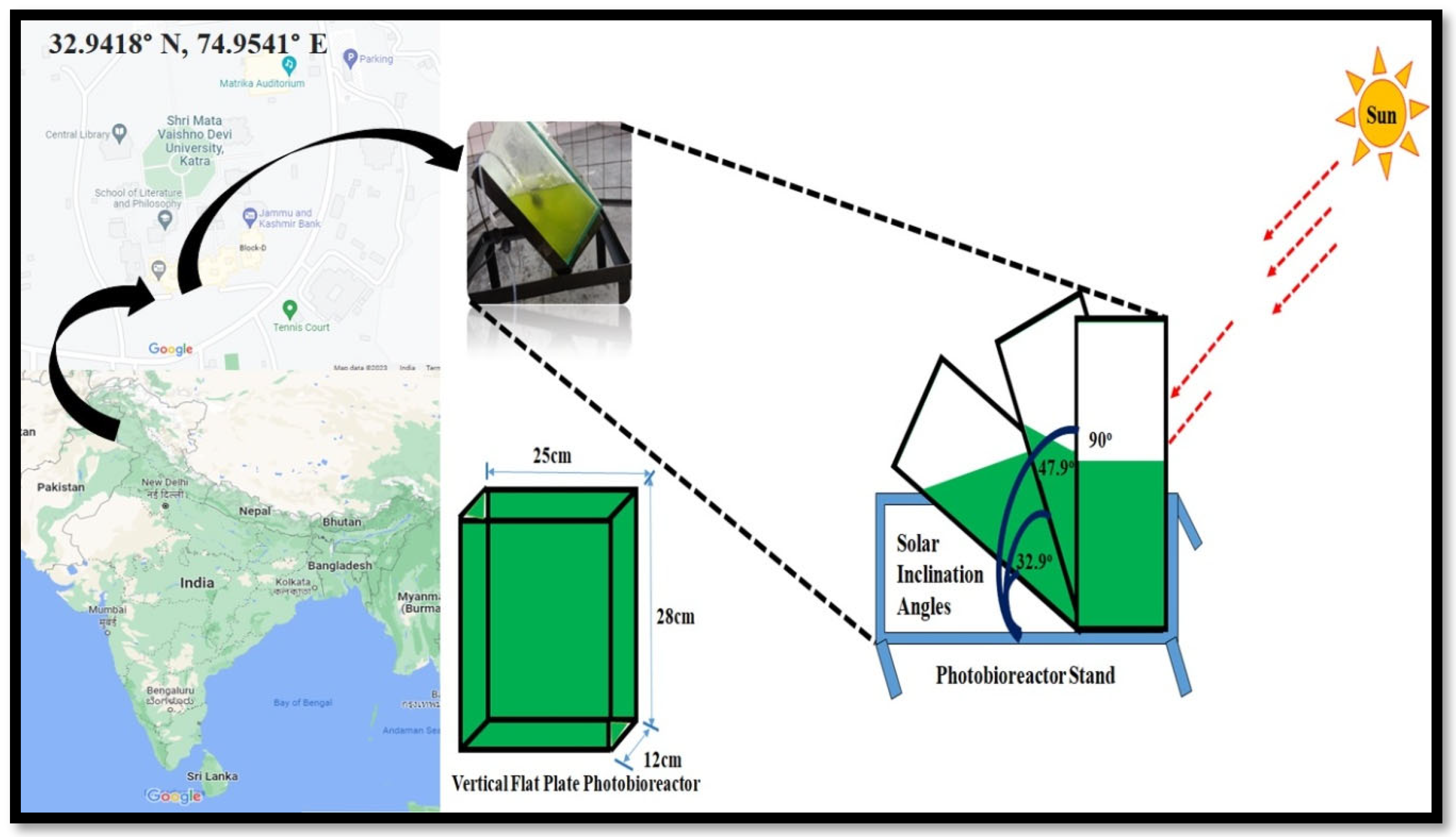 Fermentation 09 00265 g001