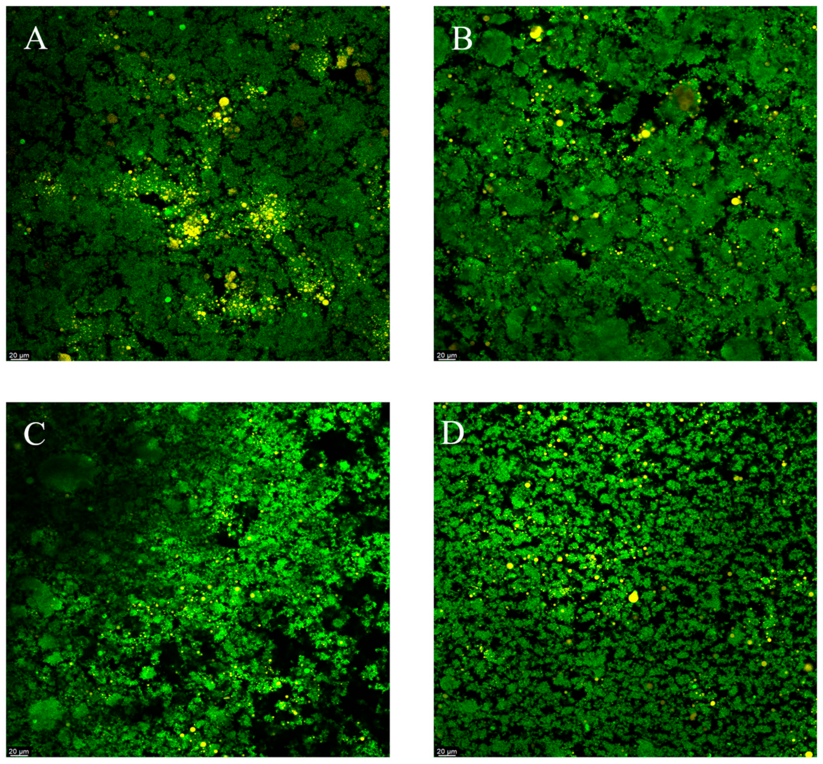 Fermentation 09 00273 g002