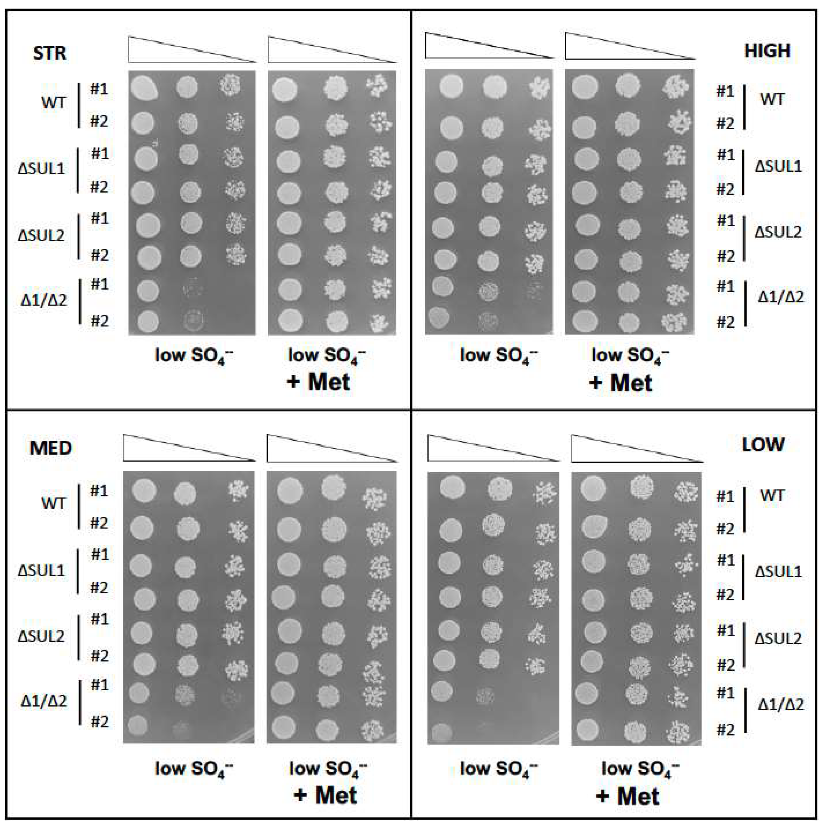 Fermentation 09 00280 g002