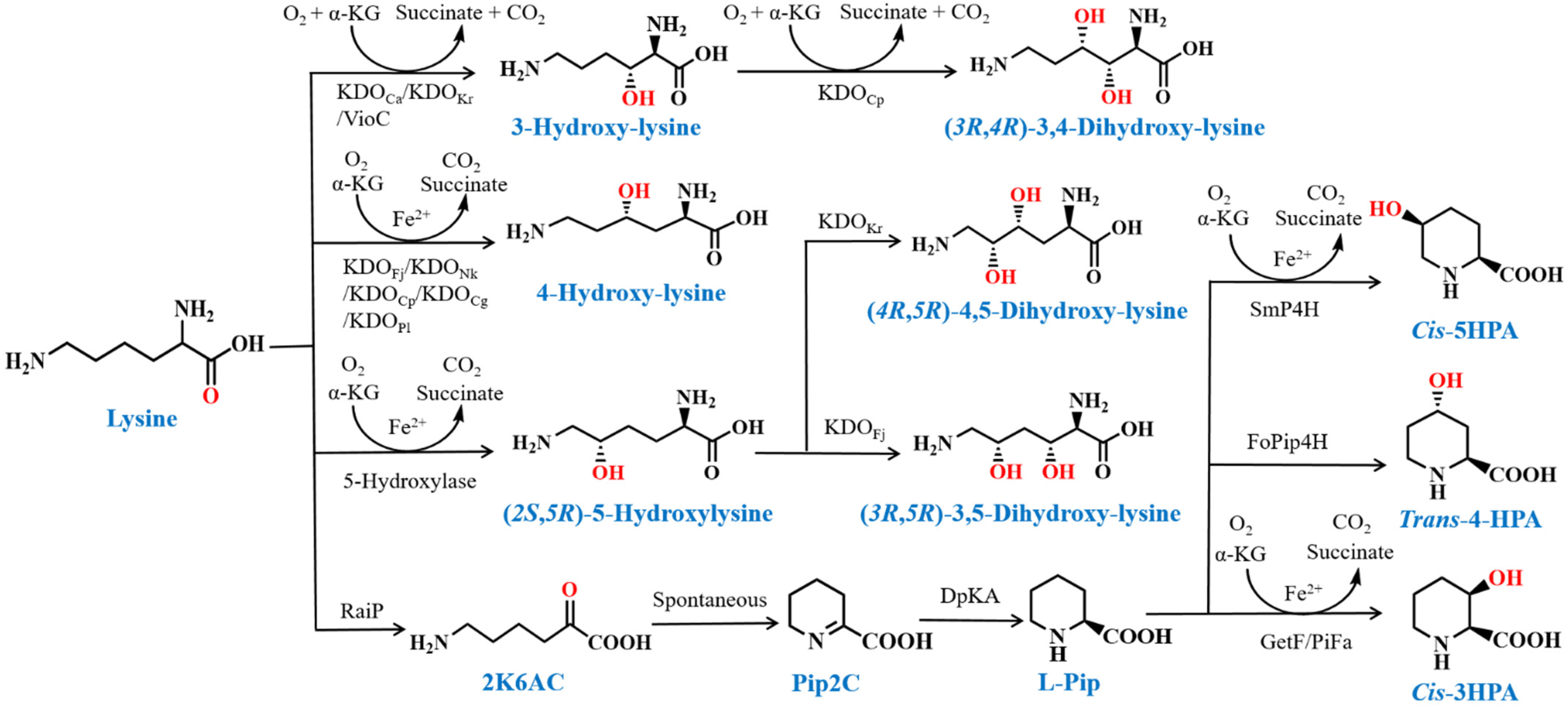 Fermentation 09 00285 g002