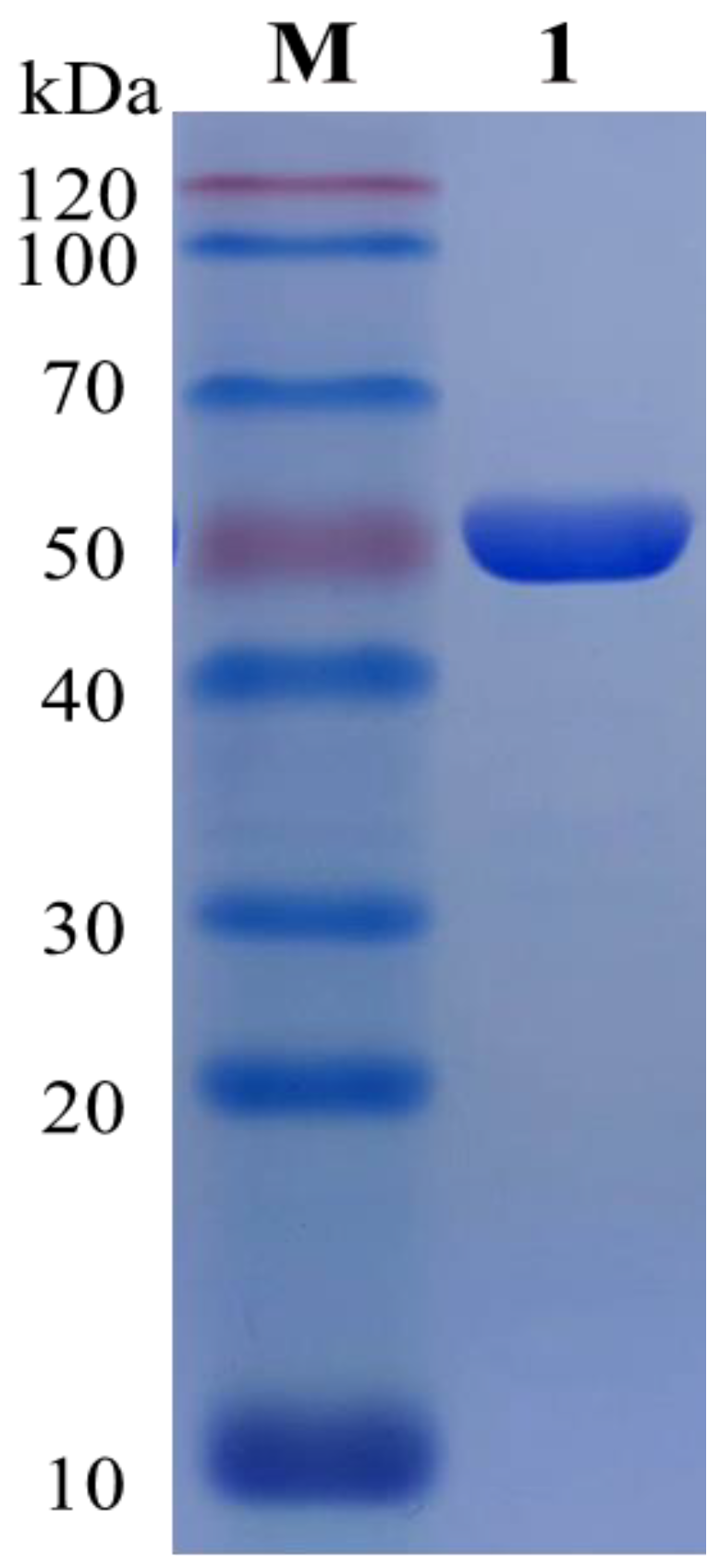 Fermentation 09 00286 g003