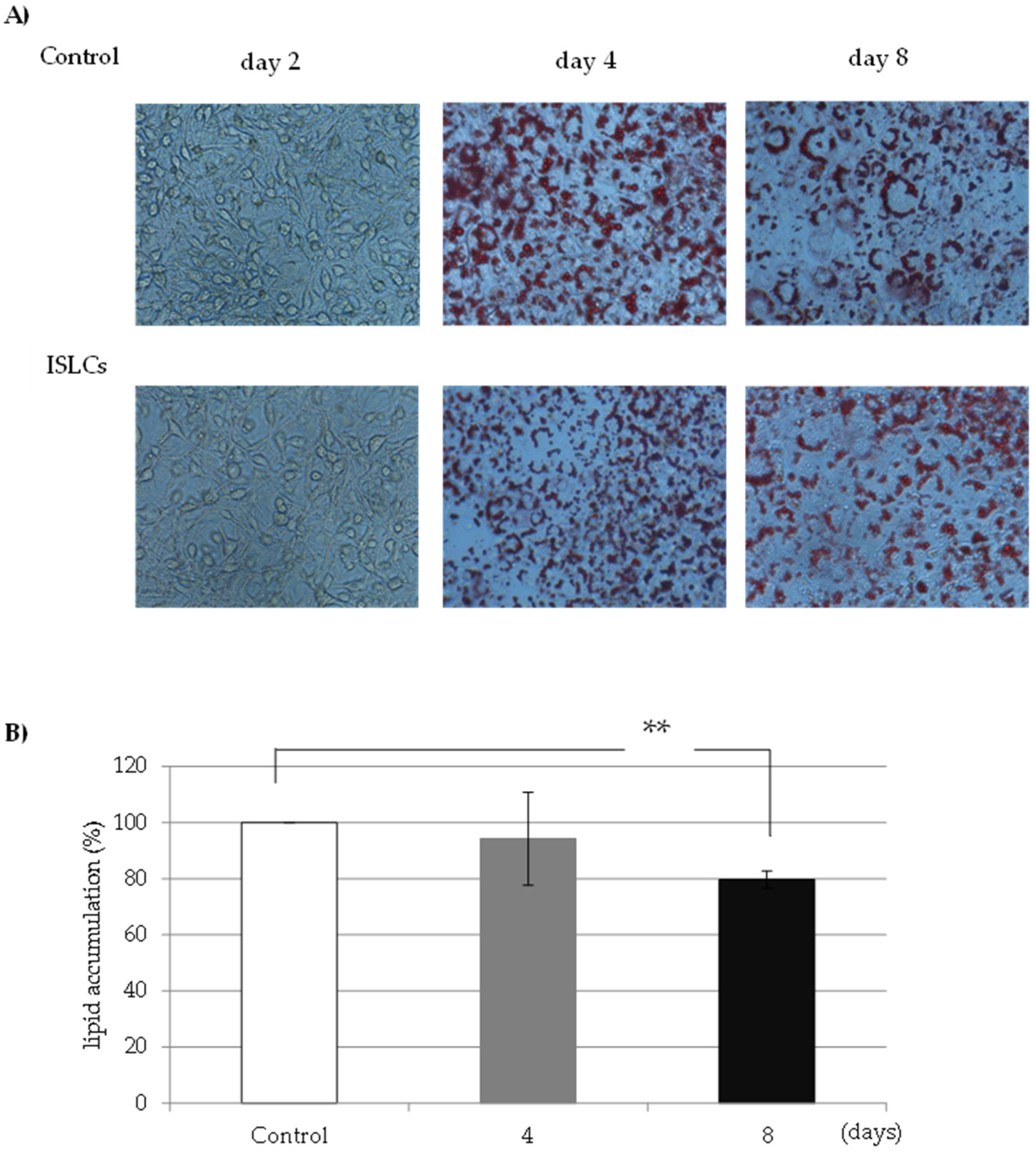 Fermentation 09 00300 g001 Fermentation 09 00300 g001
