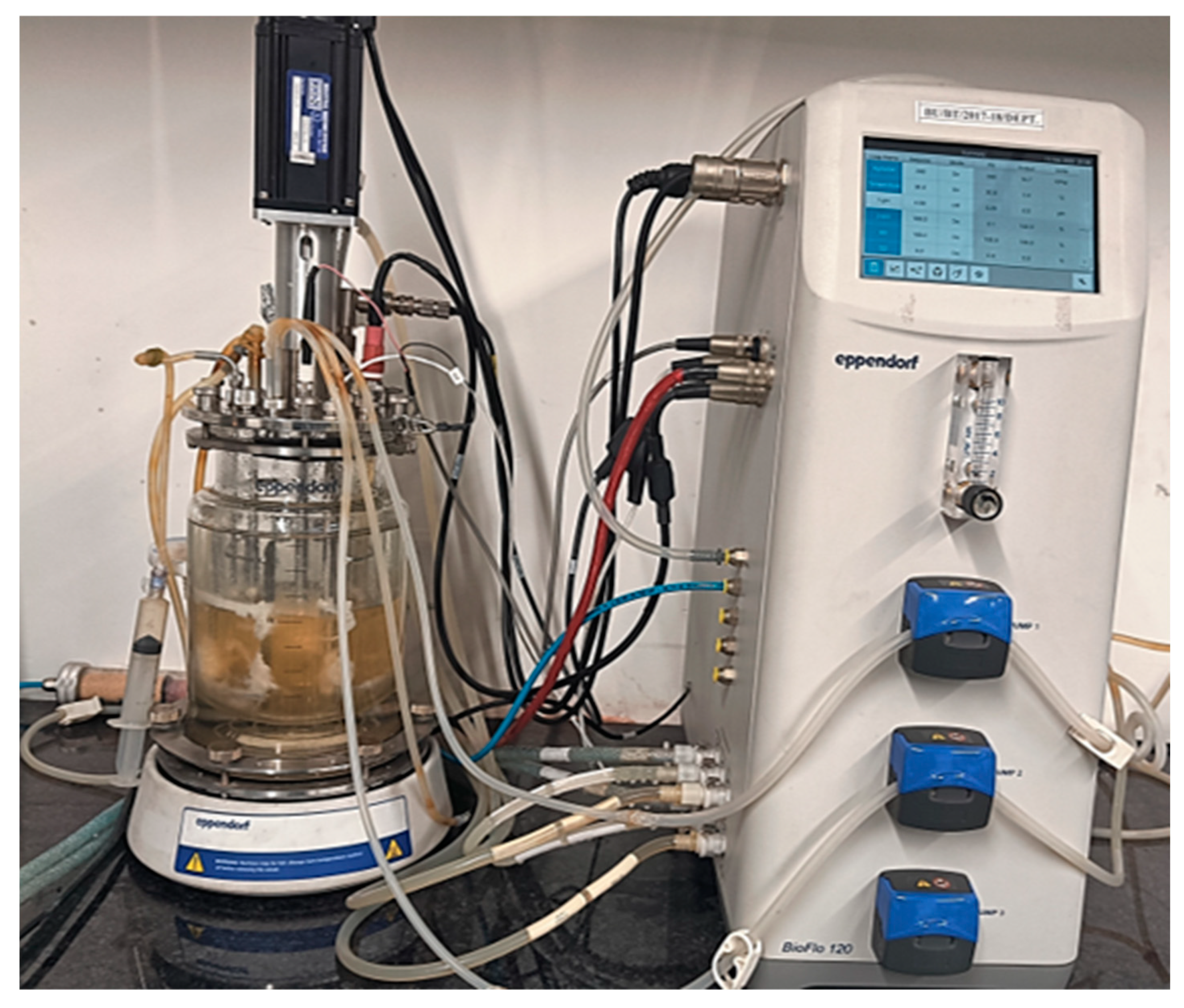 Fermentation 09 00318 g011 Fermentation 09 00318 g011