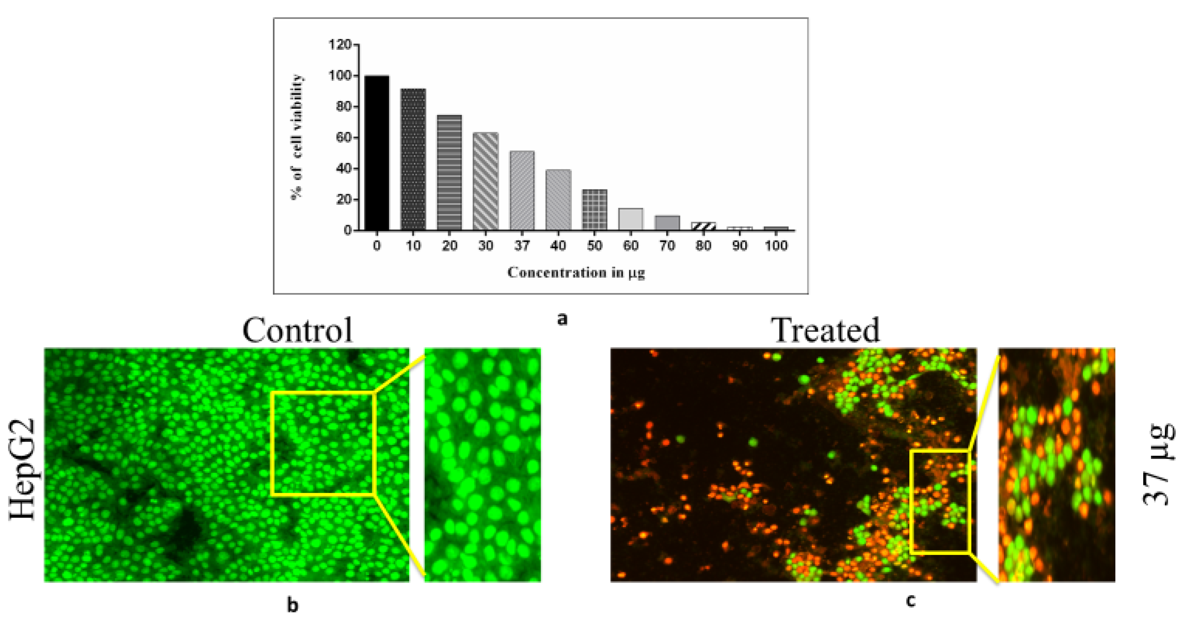 Fermentation 09 00332 g010