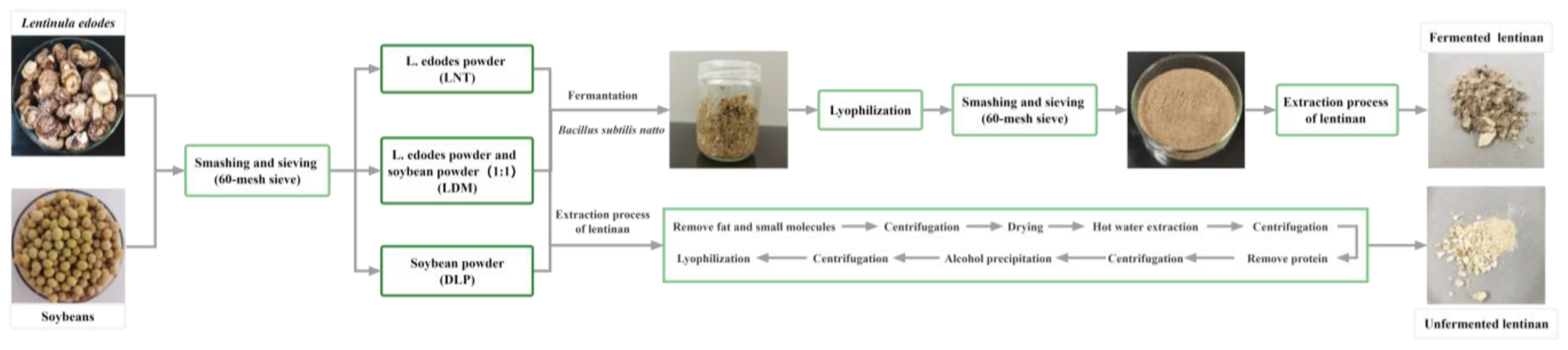 Fermentation 09 00333 g001