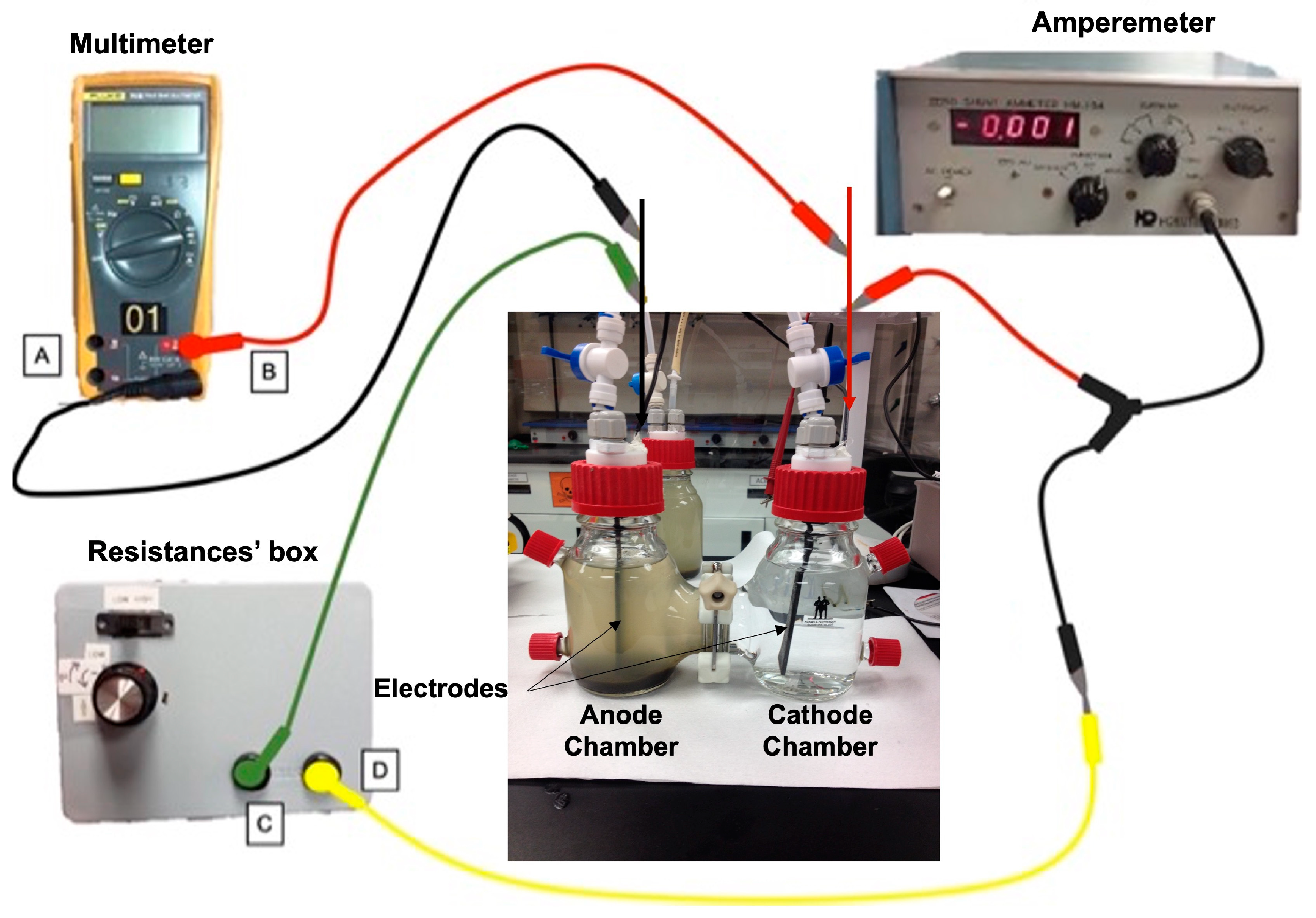 Fermentation 09 00344 g001 Fermentation 09 00344 g001