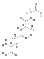 Fermentation 09 00363 i001 Fermentation 09 00363 i001